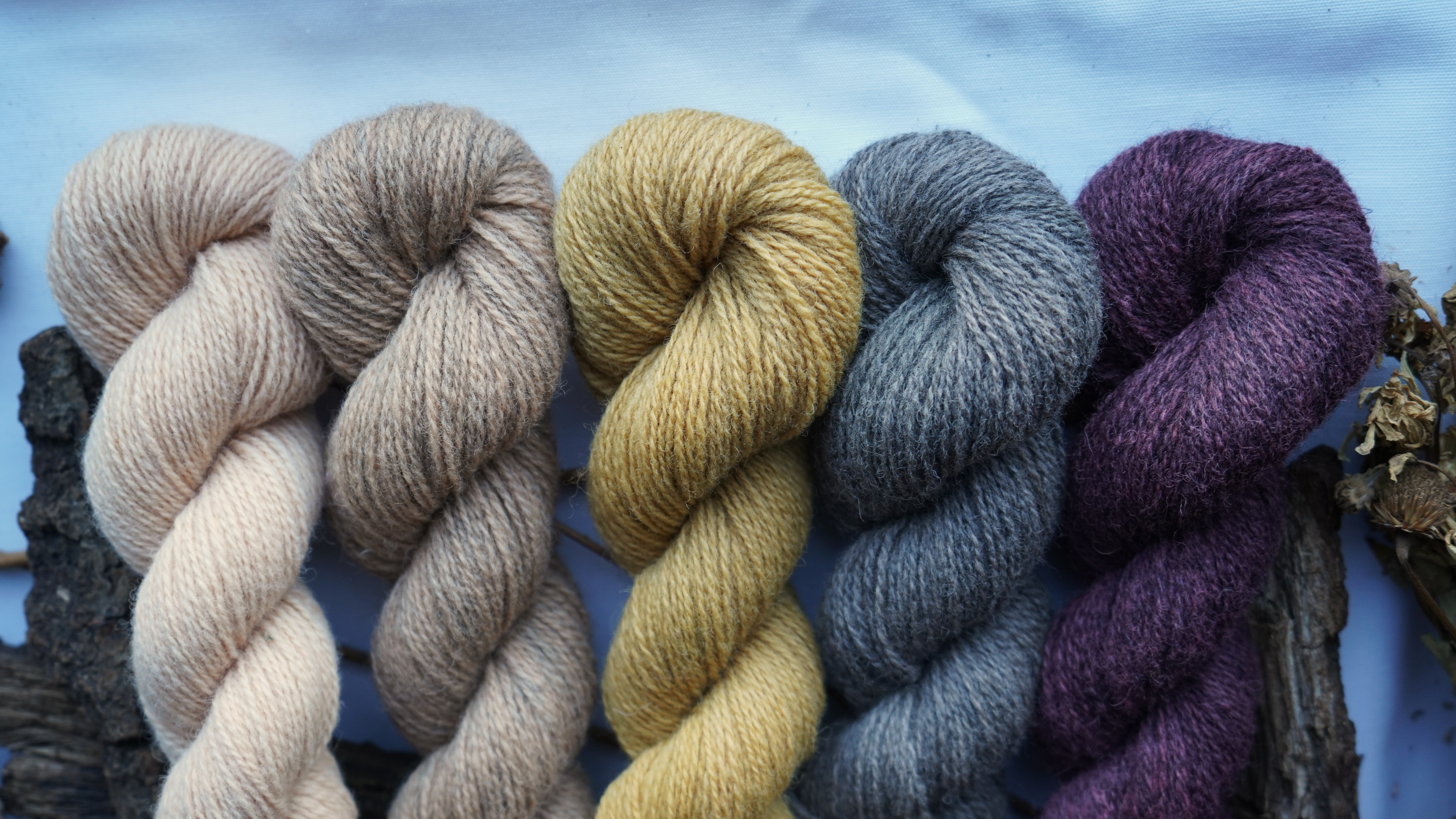Botanically Dyed Yarn Pack "Wild nectar". 250 g