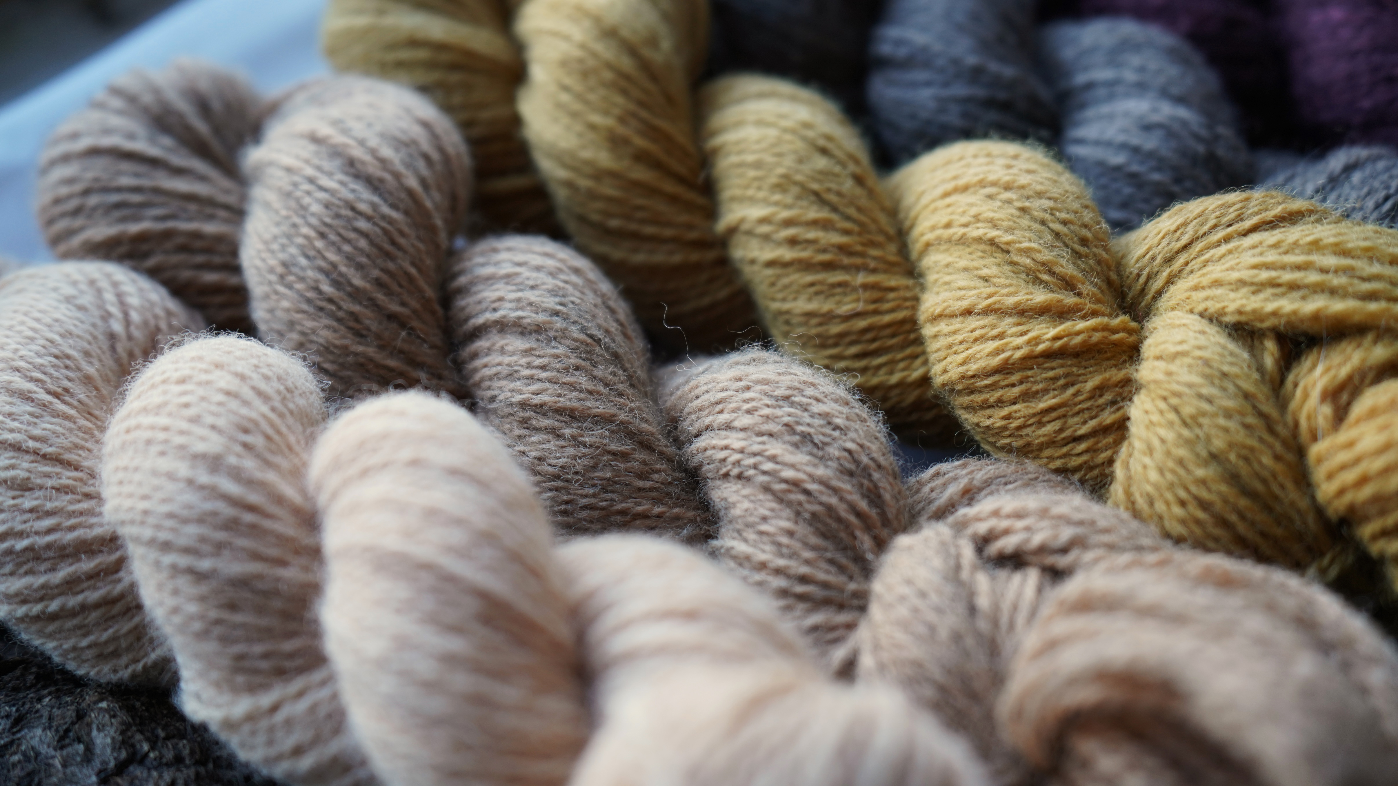 Botanically Dyed Yarn Pack "Wild nectar". 250 g