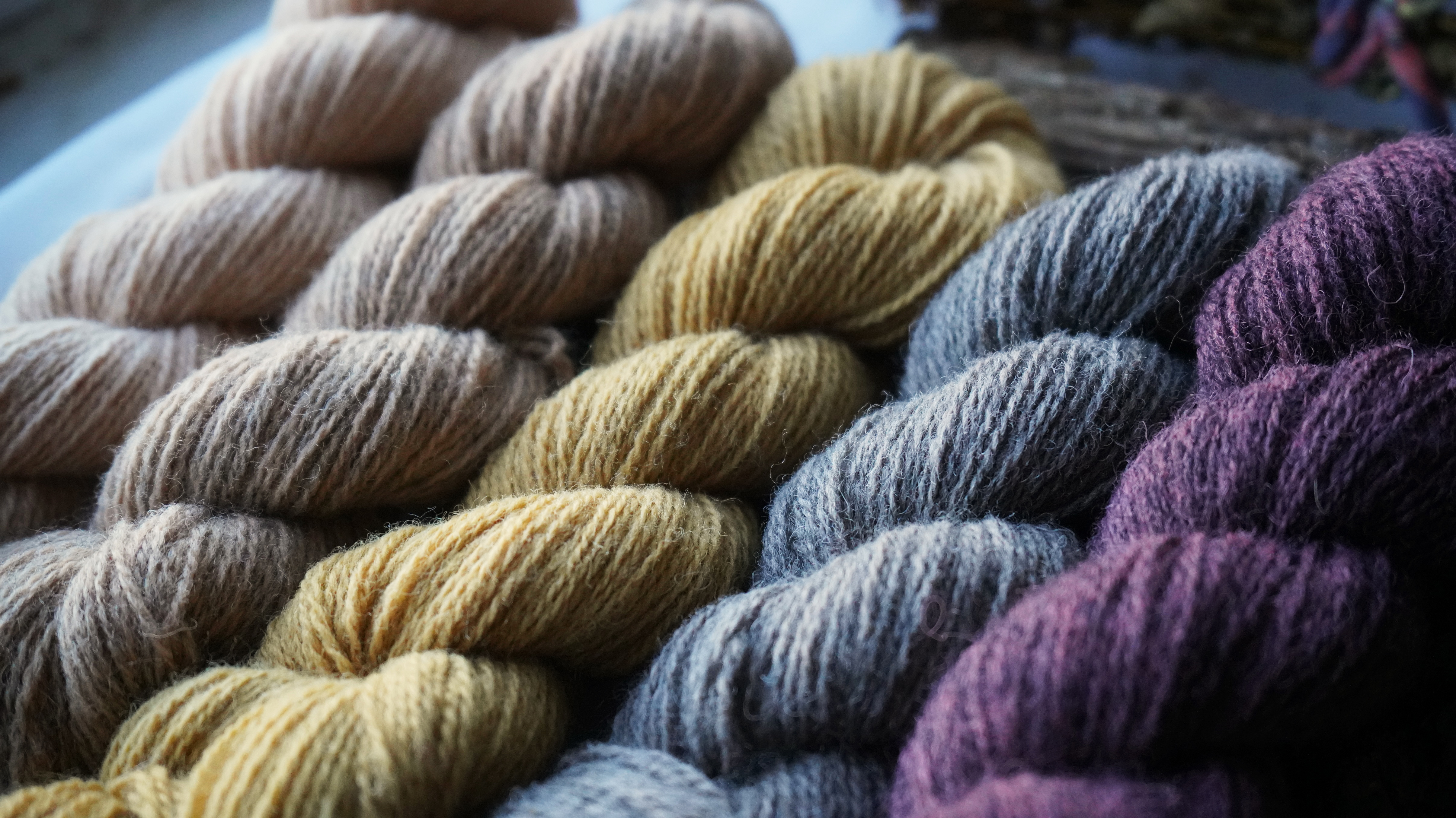 Botanically Dyed Yarn Pack "Wild nectar". 250 g