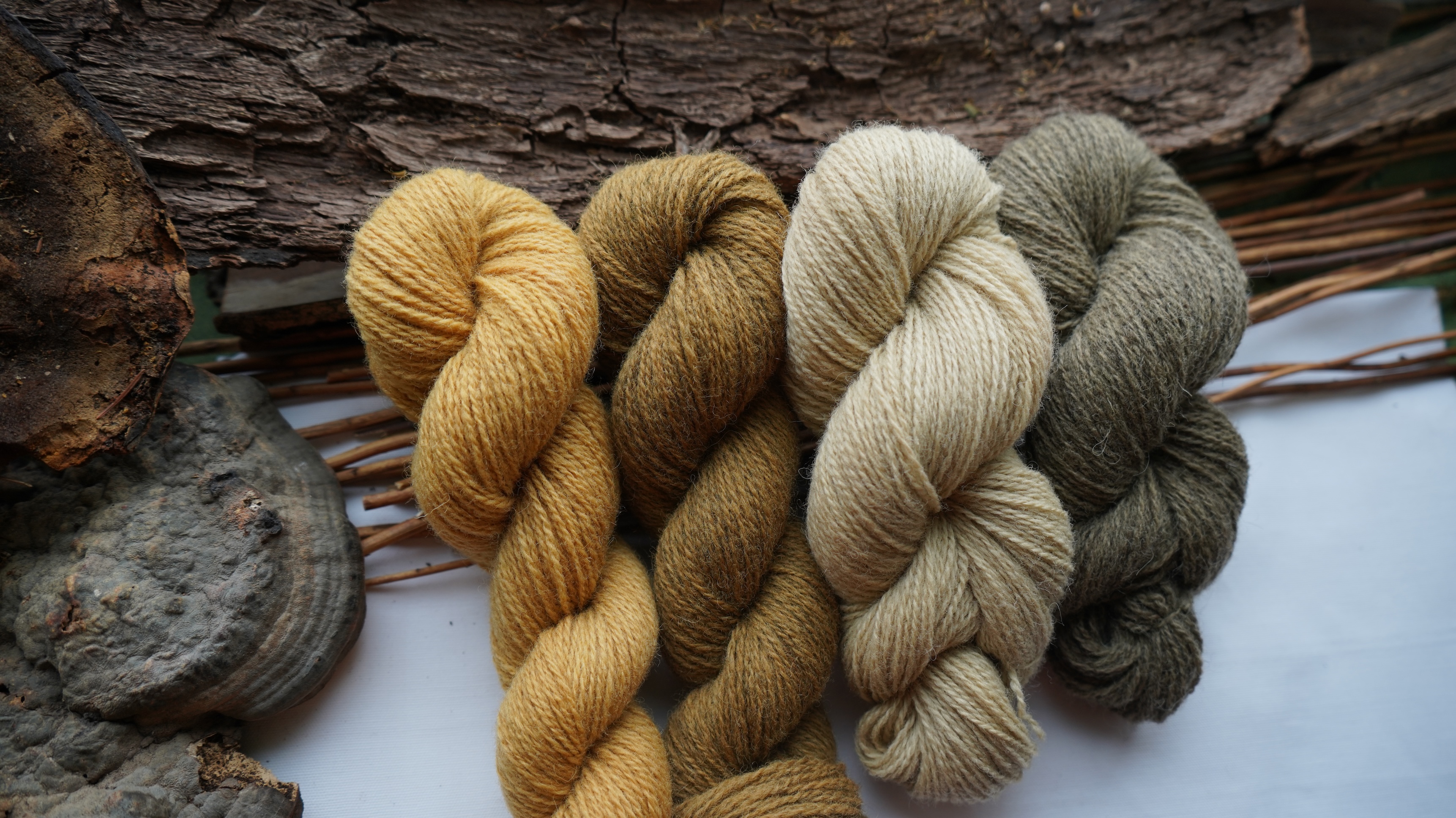 Hand dyed wool yarn set "Honey gold". 200 g