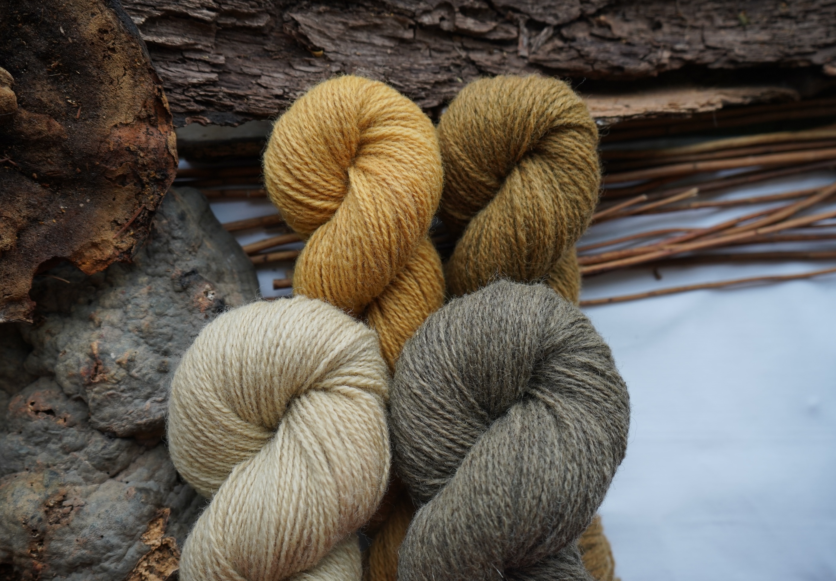 Hand dyed wool yarn set "Honey gold". 200 g