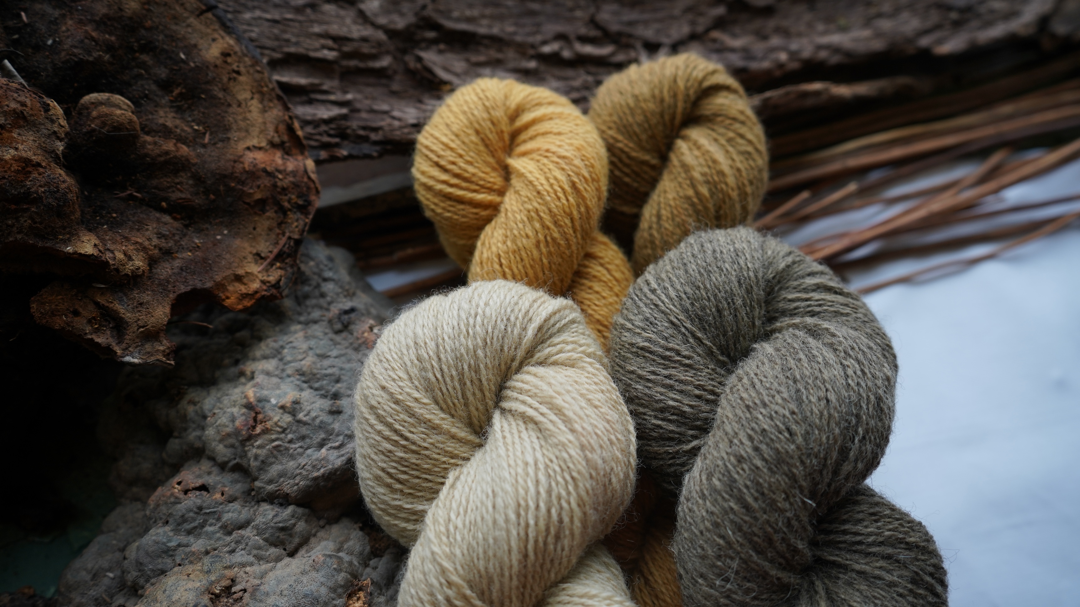 Hand dyed wool yarn set "Honey gold". 200 g