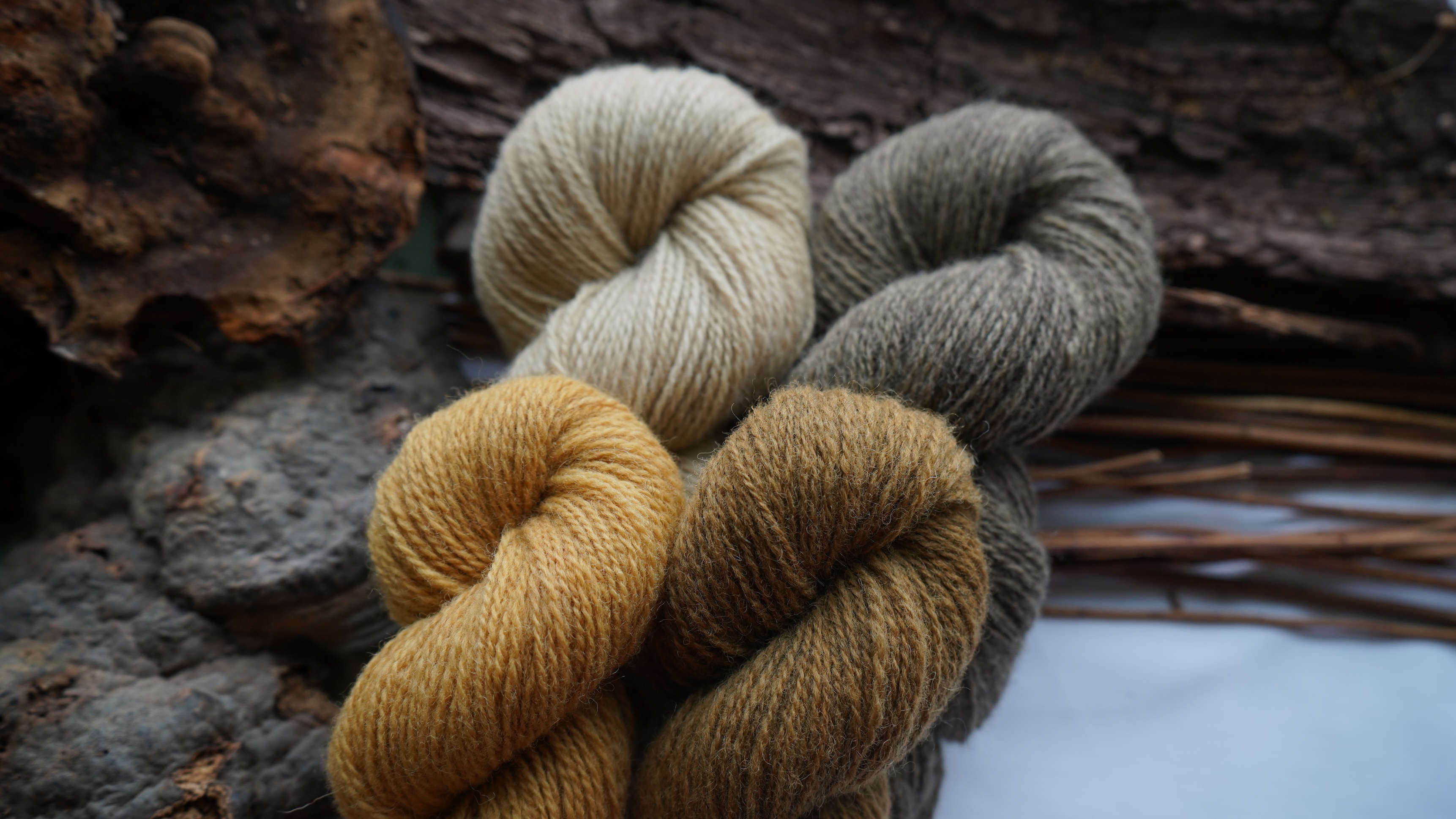 Hand dyed wool yarn set "Honey gold". 200 g