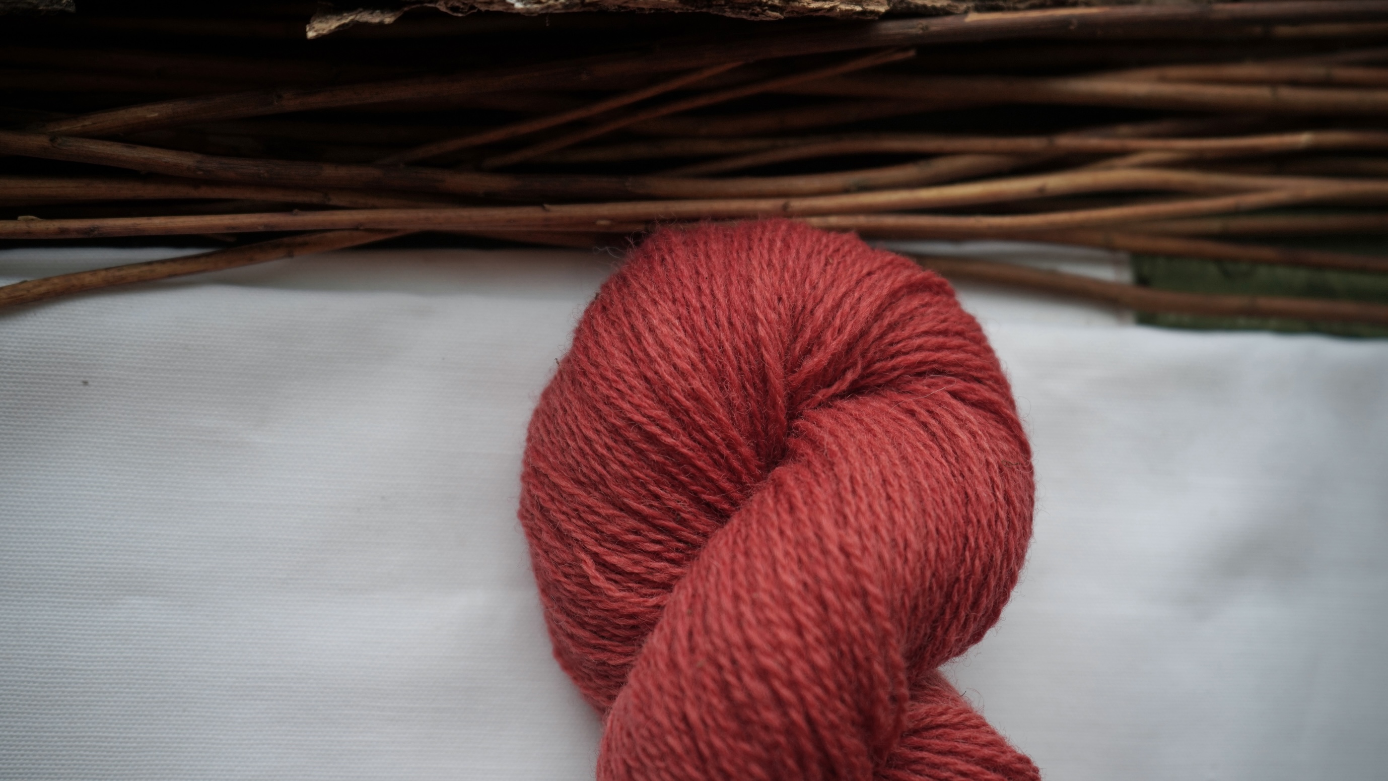 Botanically dyed wool yarn "Bittersweet", 50 g