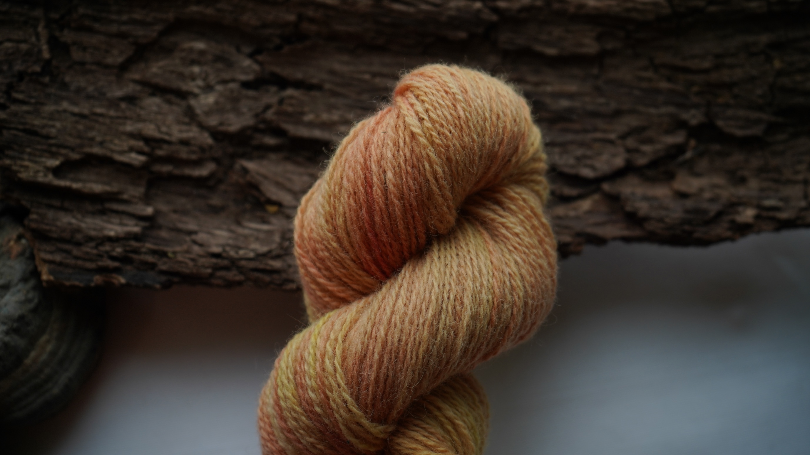 Plant dyed multicolor wool yarn, 50 g 