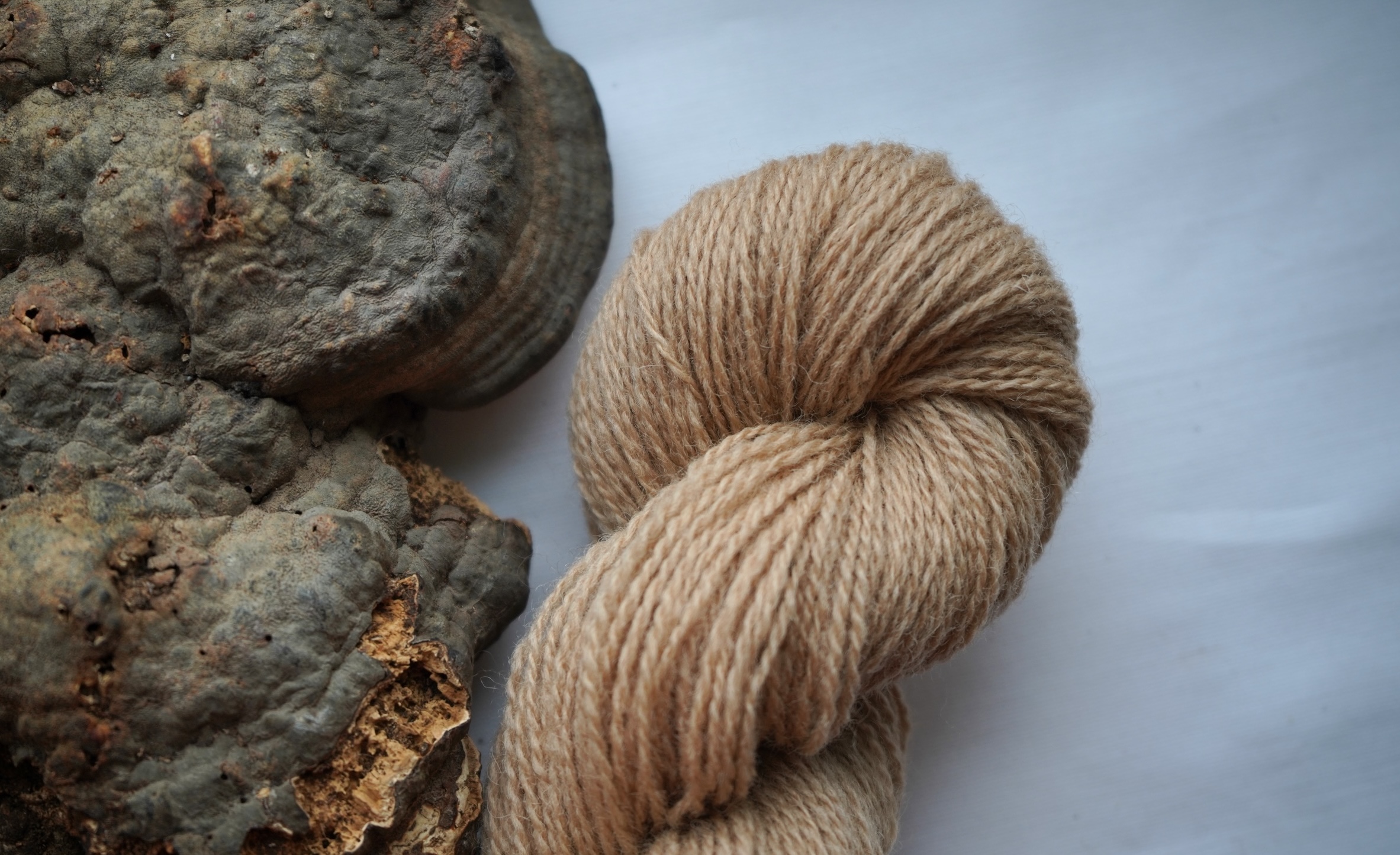 Plant dyed wool yarn "Seed pearl", 50 g 