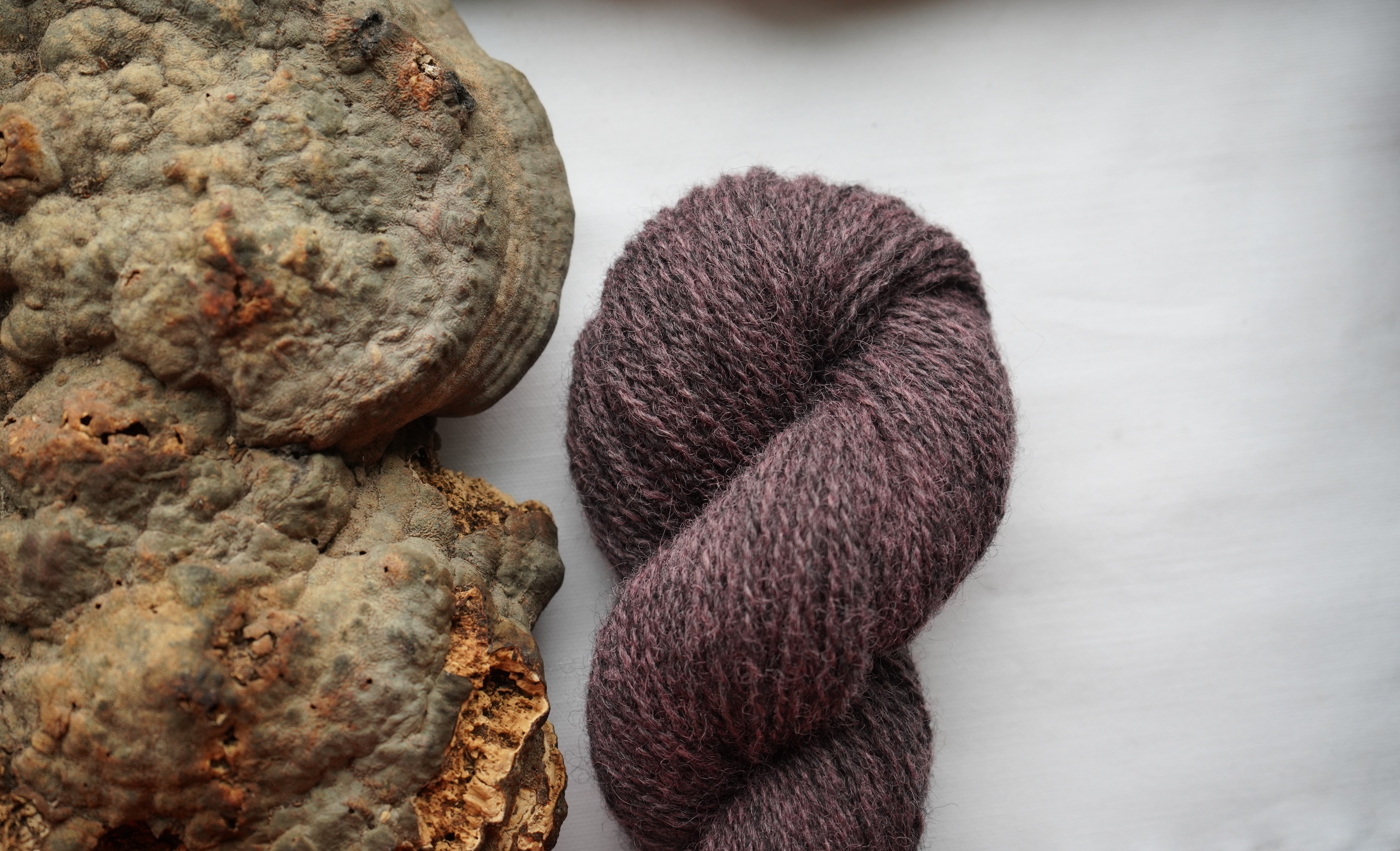 Plant dyed wool yarn "Nightshade", 50 g