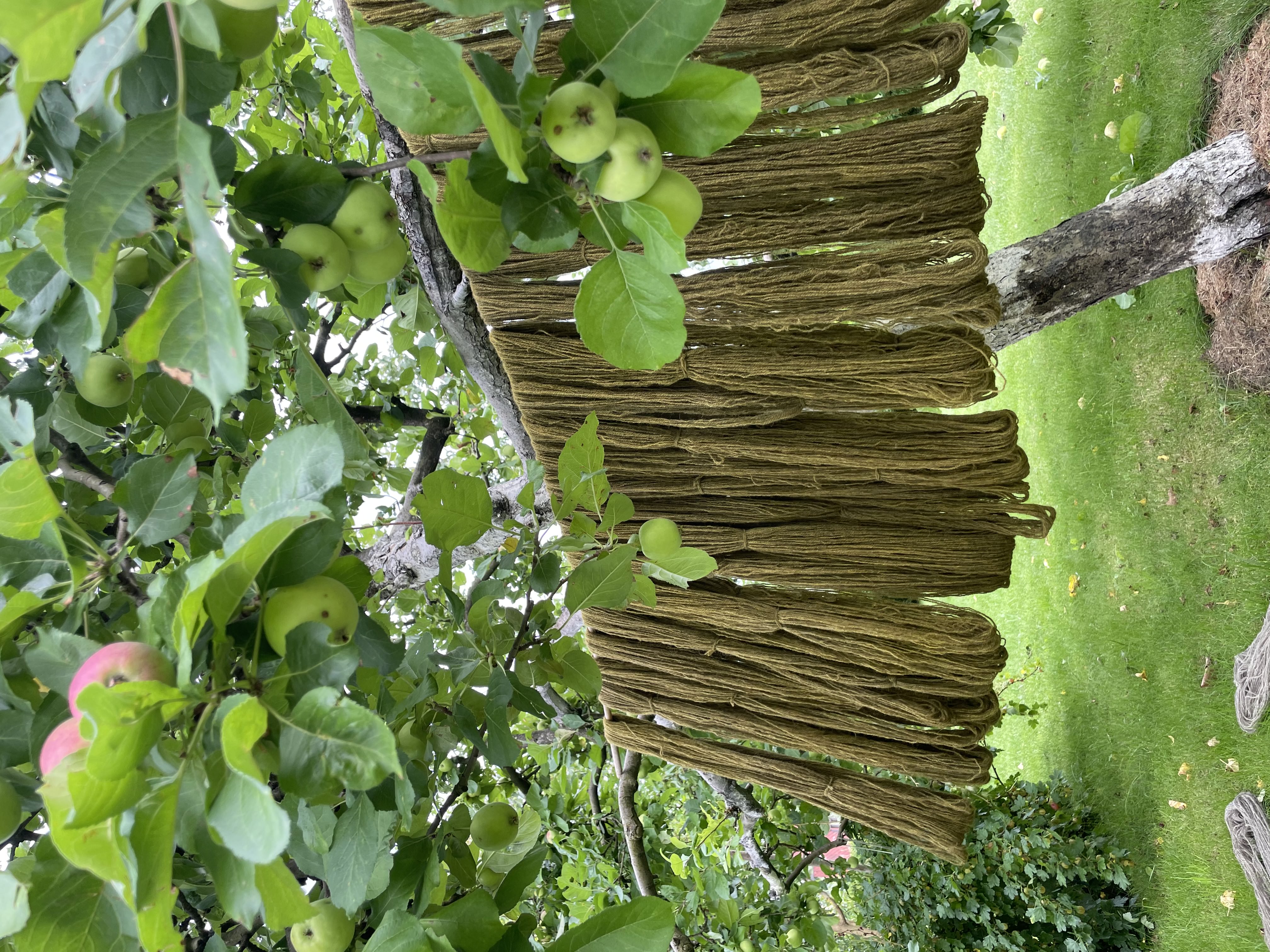 Natural dyeing e-book in Lithuanian language