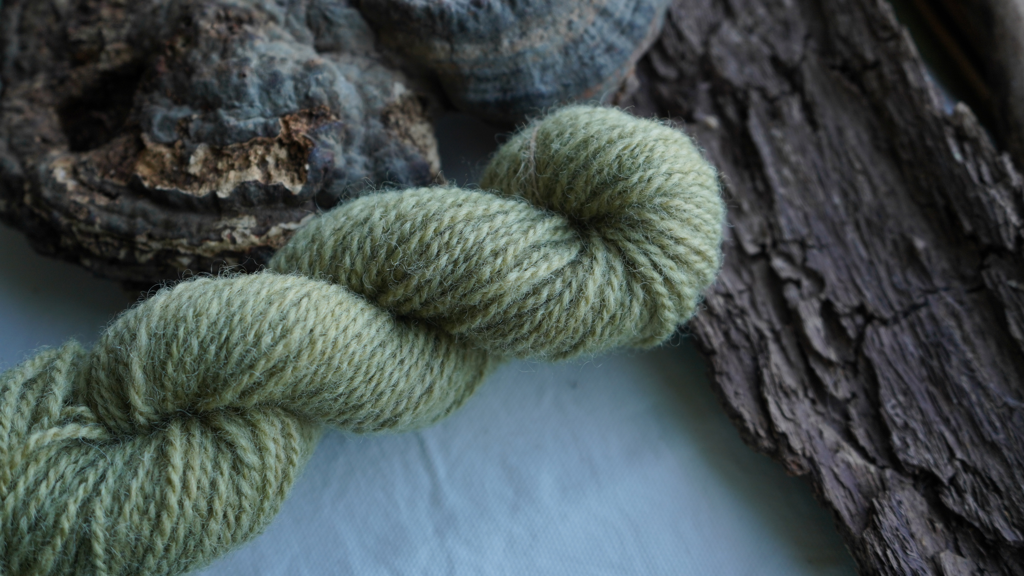 Botanically dyed wool yarn "Olive". Wortsted weight