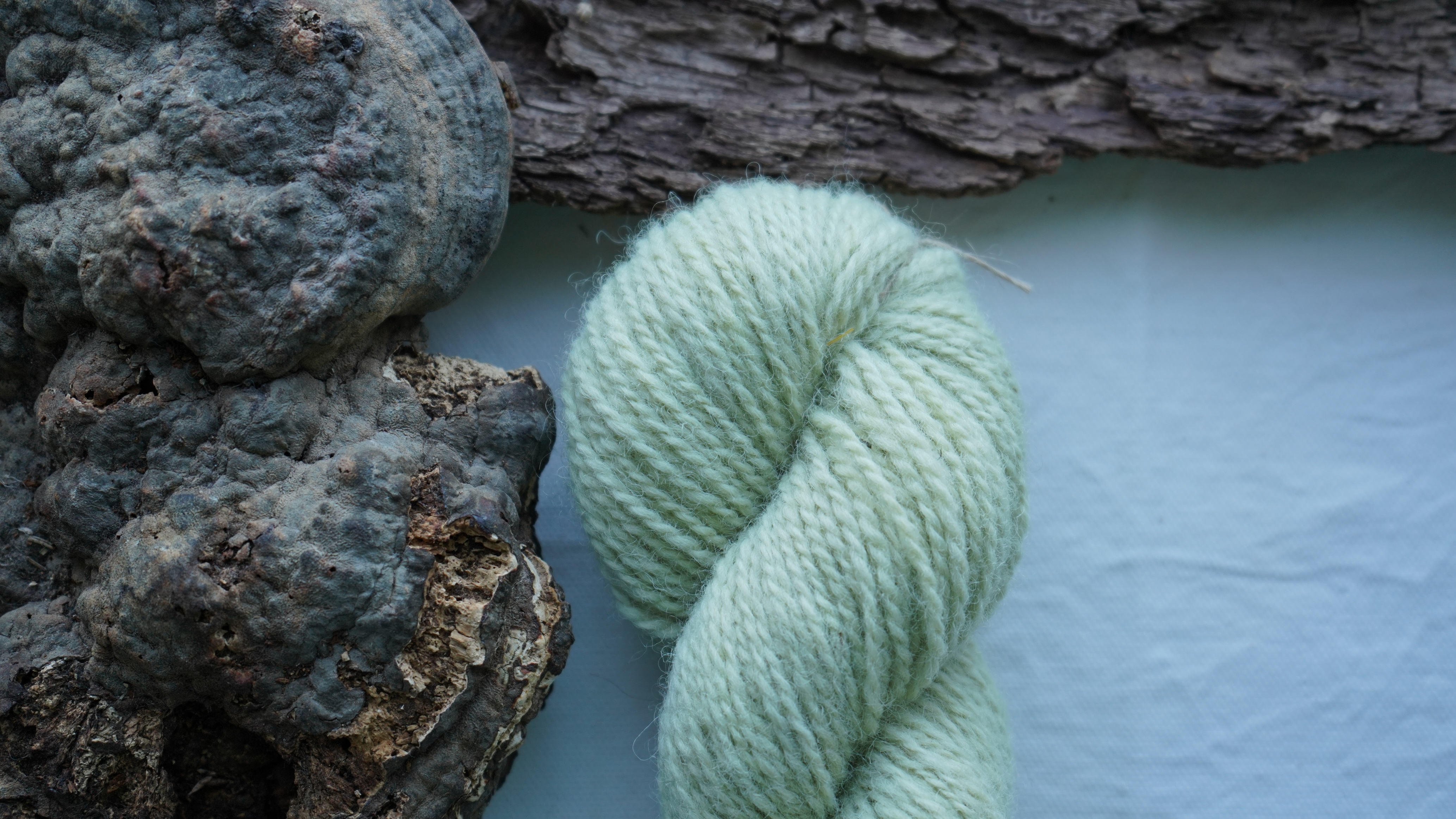 Plant dyed wool yarn "Green haze". Wortsted weight