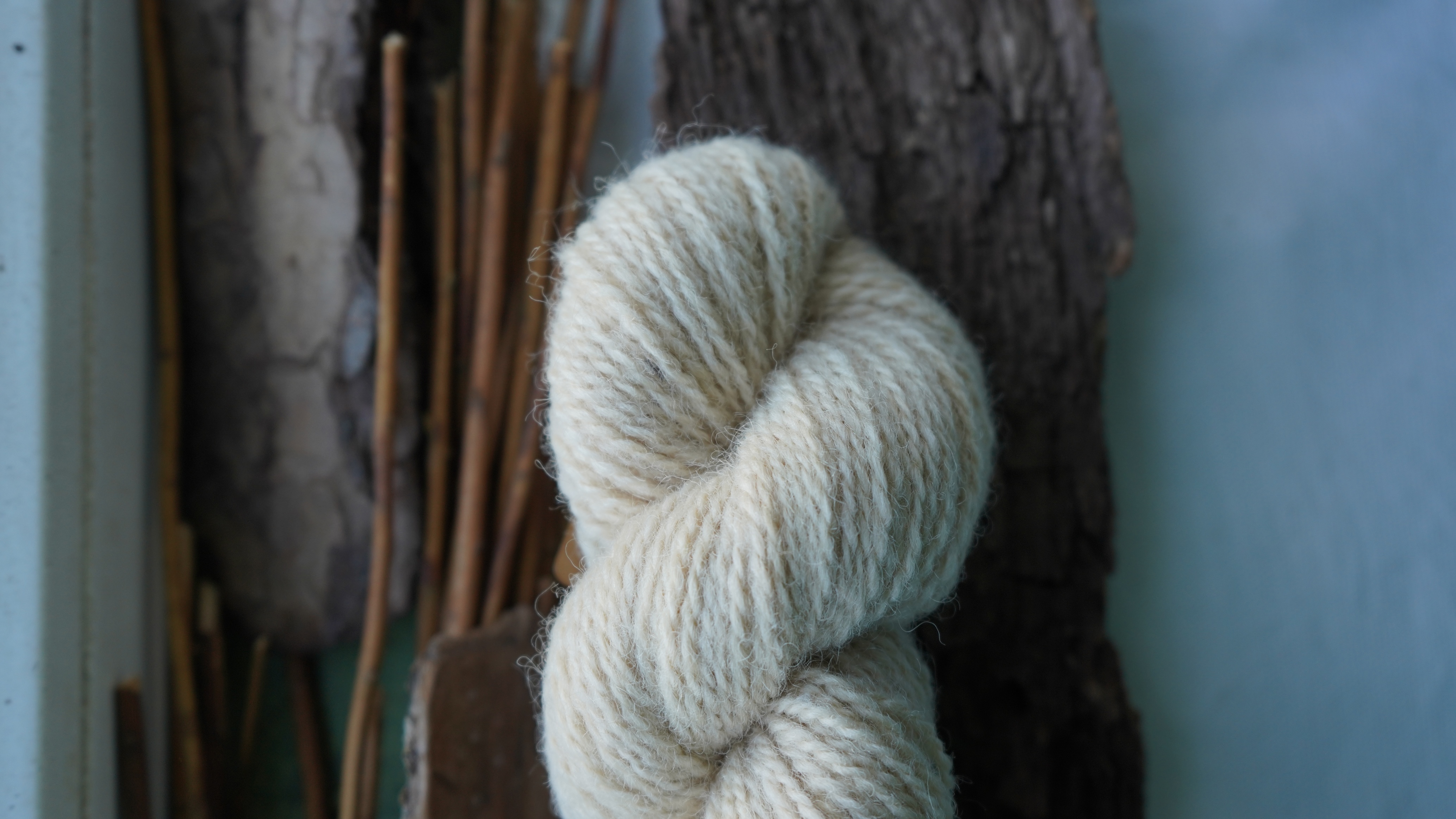 Botanically dyed wool yarn "Sand dollar". Wortsted weight