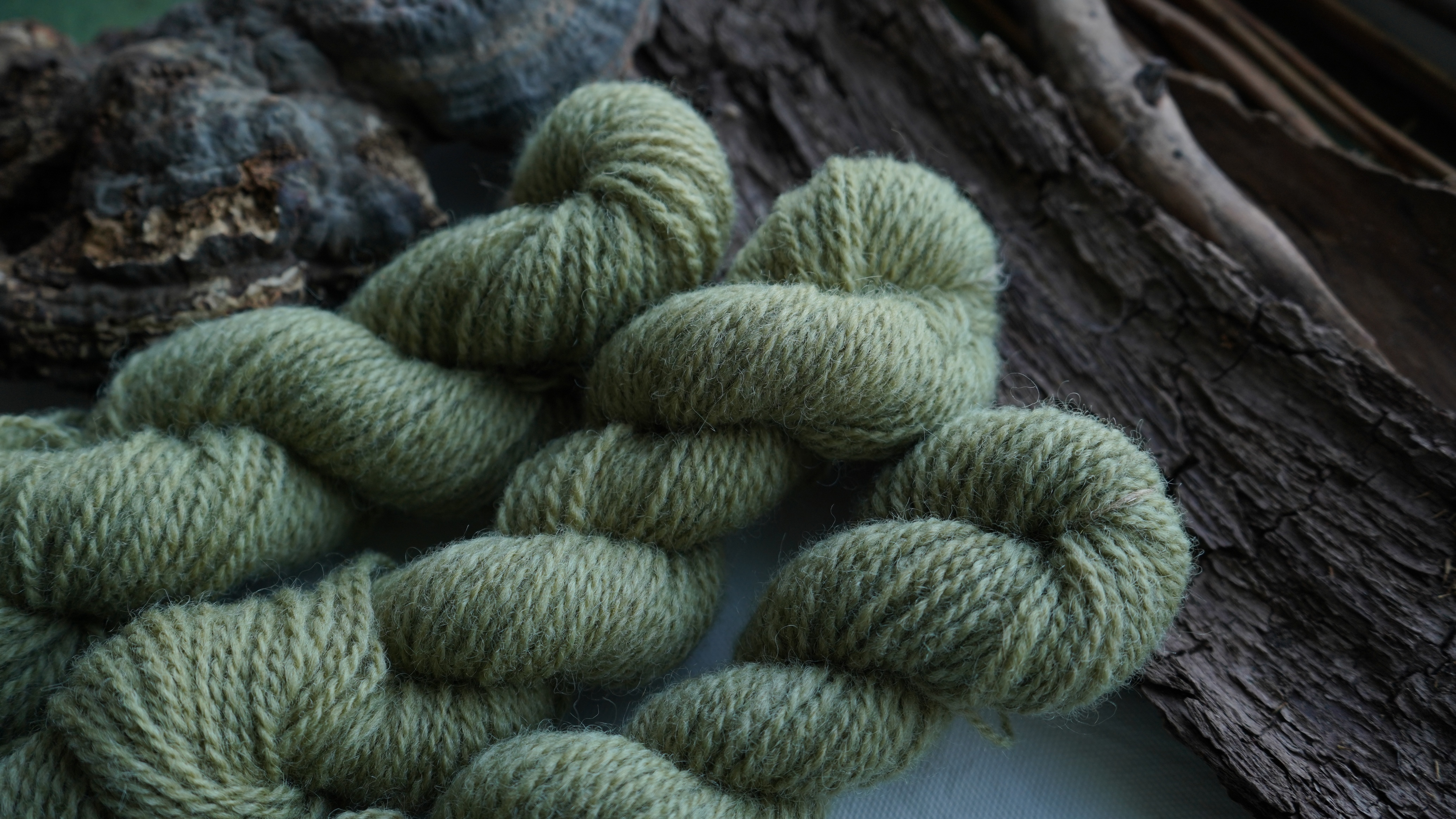 Botanically dyed wool yarn "Olive". Wortsted weight