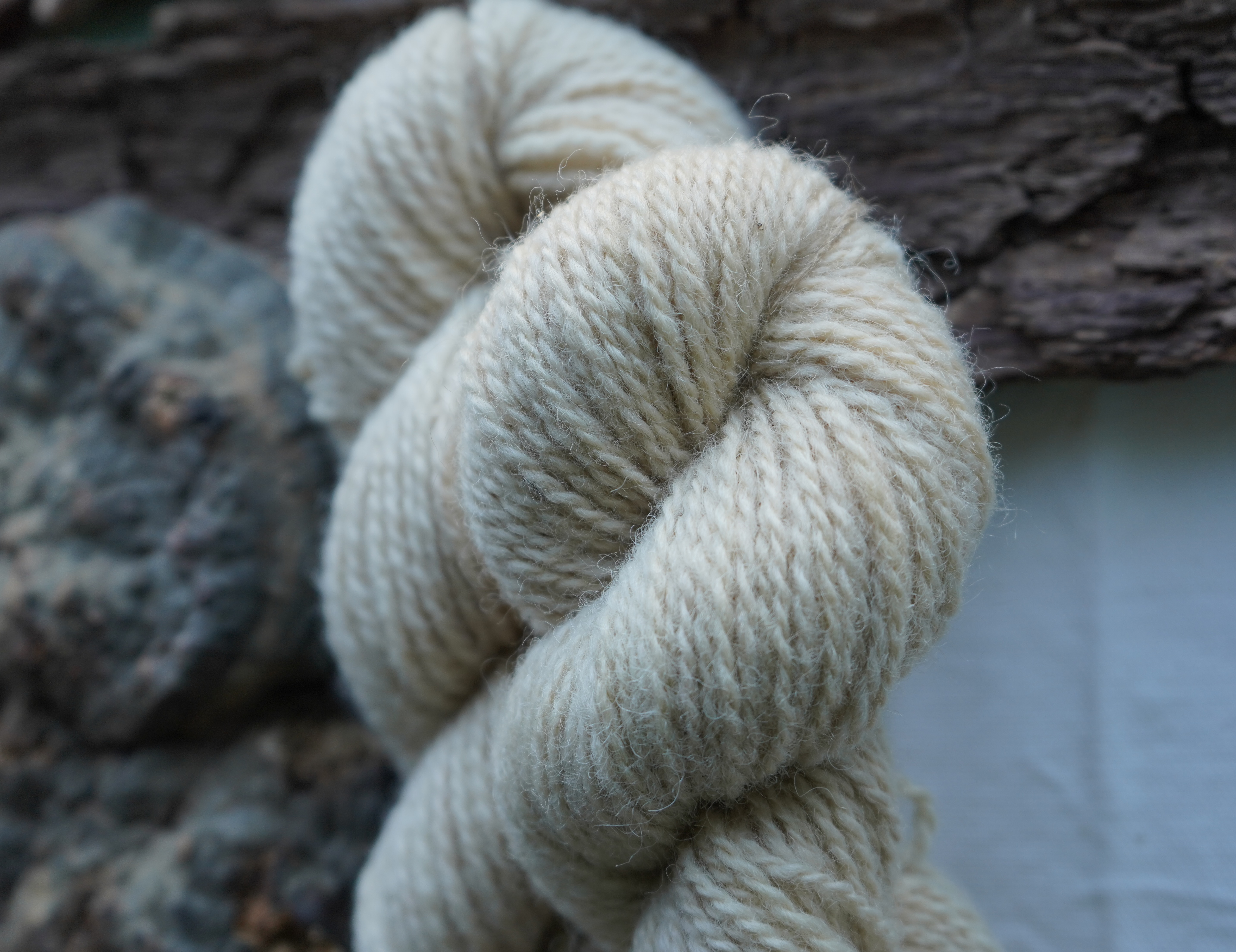 Botanically dyed wool yarn "Sand dollar". Wortsted weight