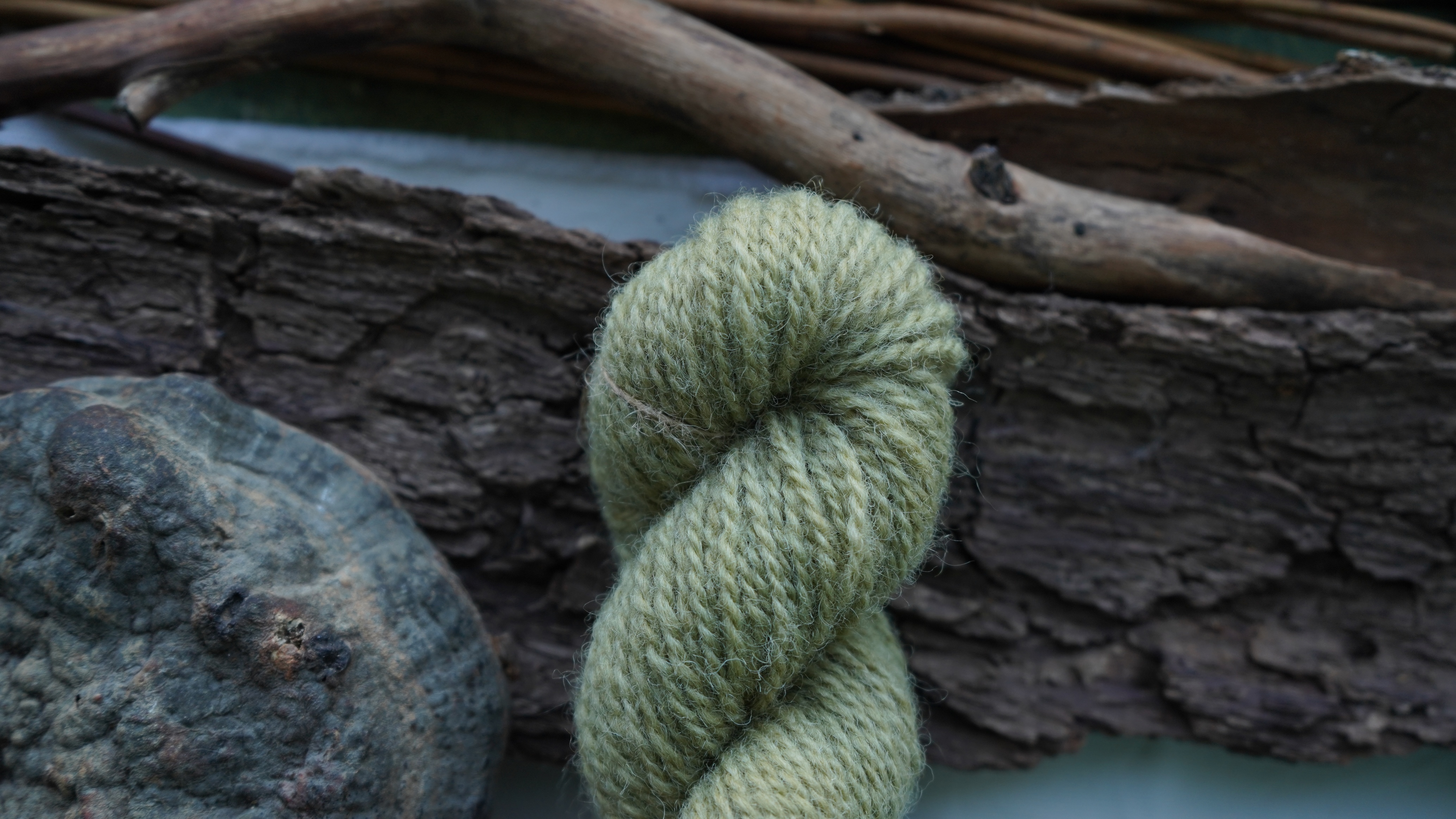 Botanically dyed wool yarn "Olive". Wortsted weight