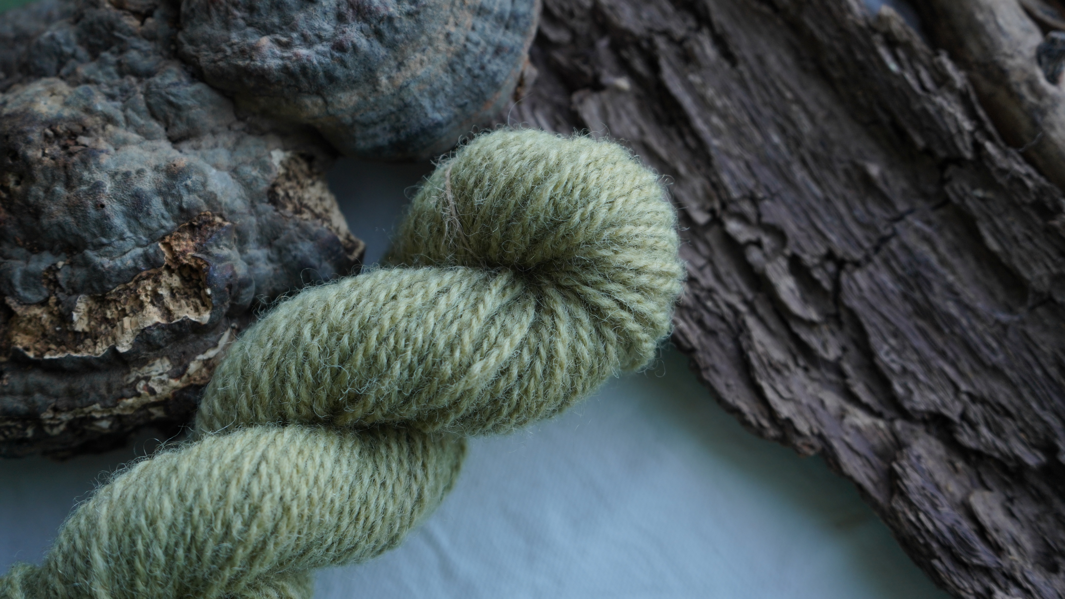 Botanically dyed wool yarn "Olive". Wortsted weight