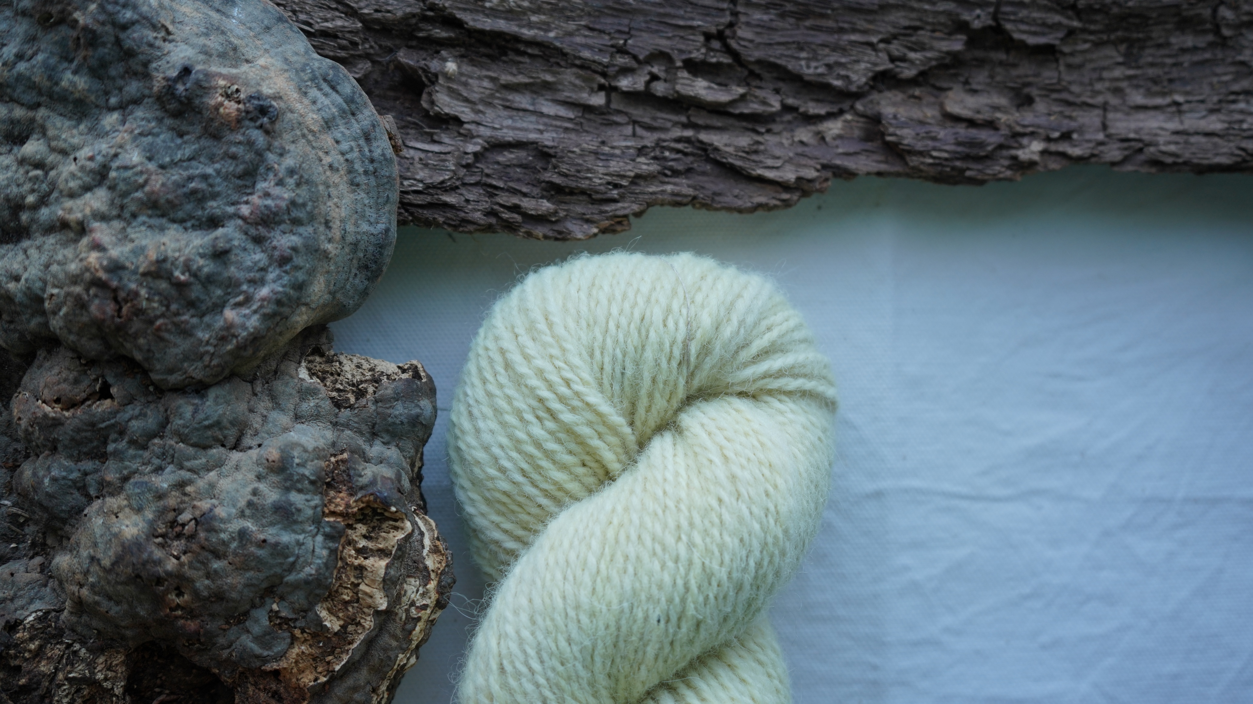 Botanically dyed wool yarn "Morning light". Wortsted weight