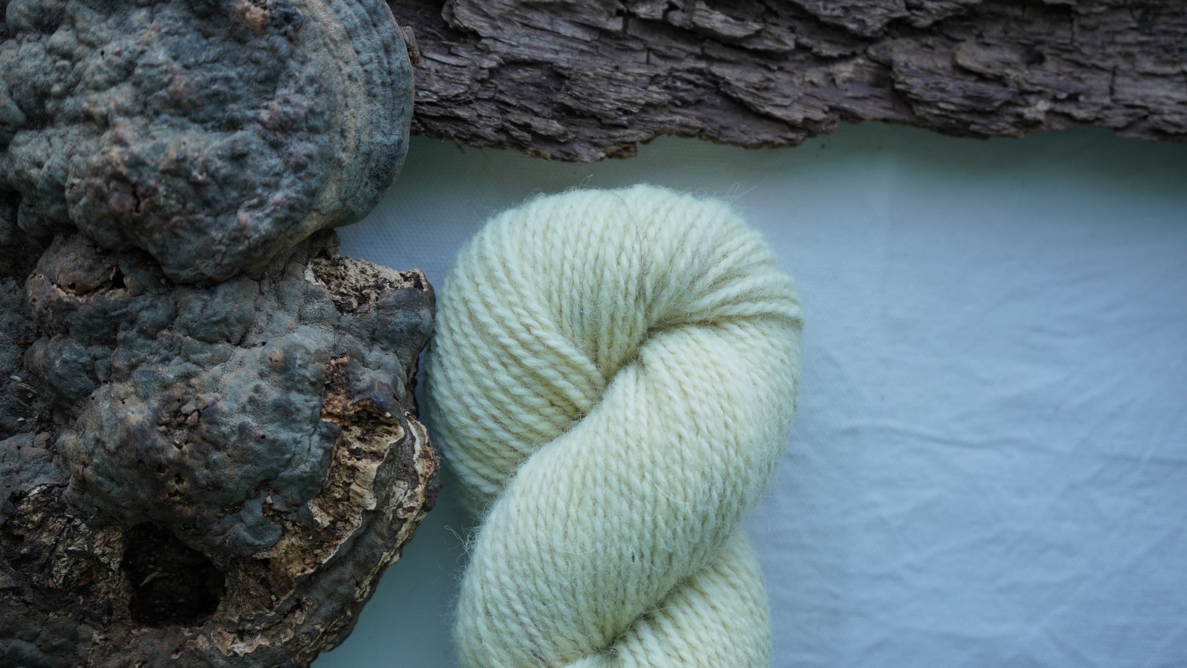 Botanically dyed wool yarn "Morning light". Wortsted weight
