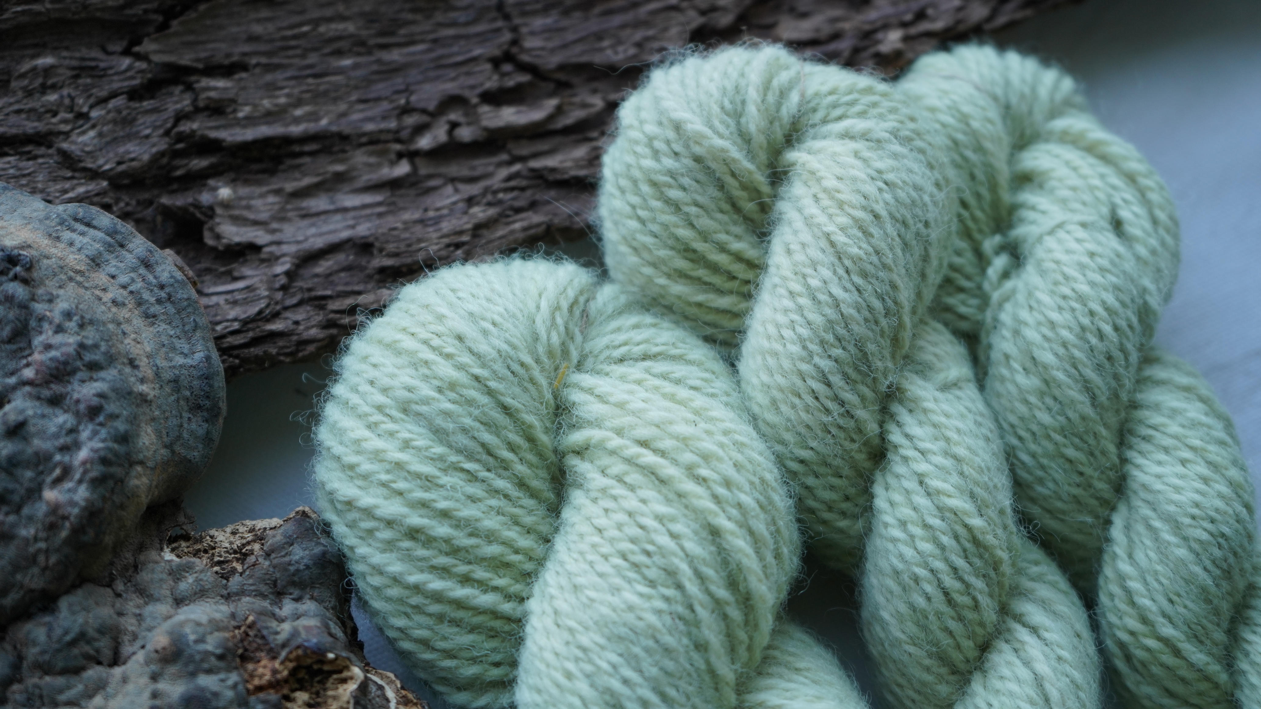 Plant dyed wool yarn "Green haze". Wortsted weight