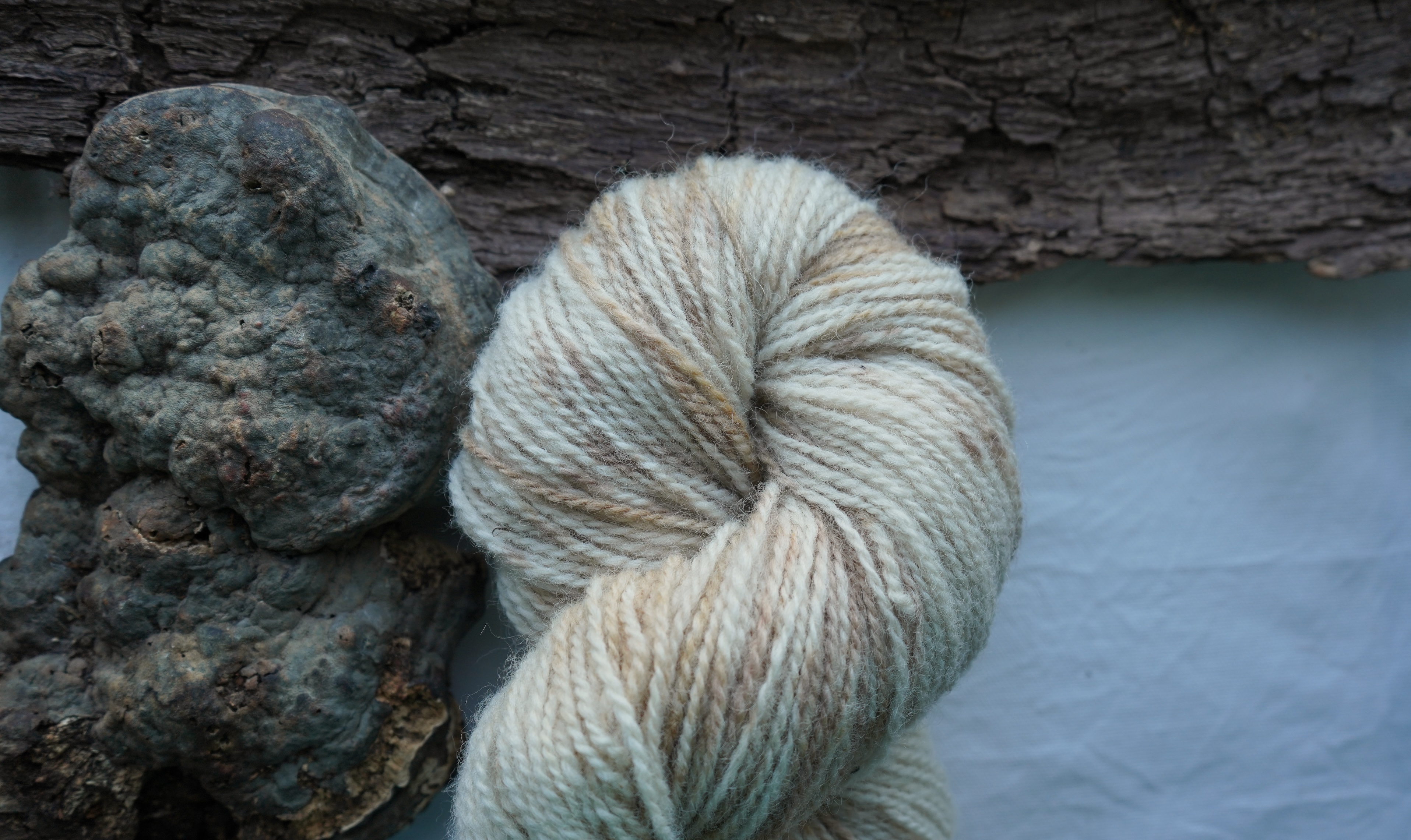 Botanically dyed wool yarn "Winter woodland". Wortsted weight