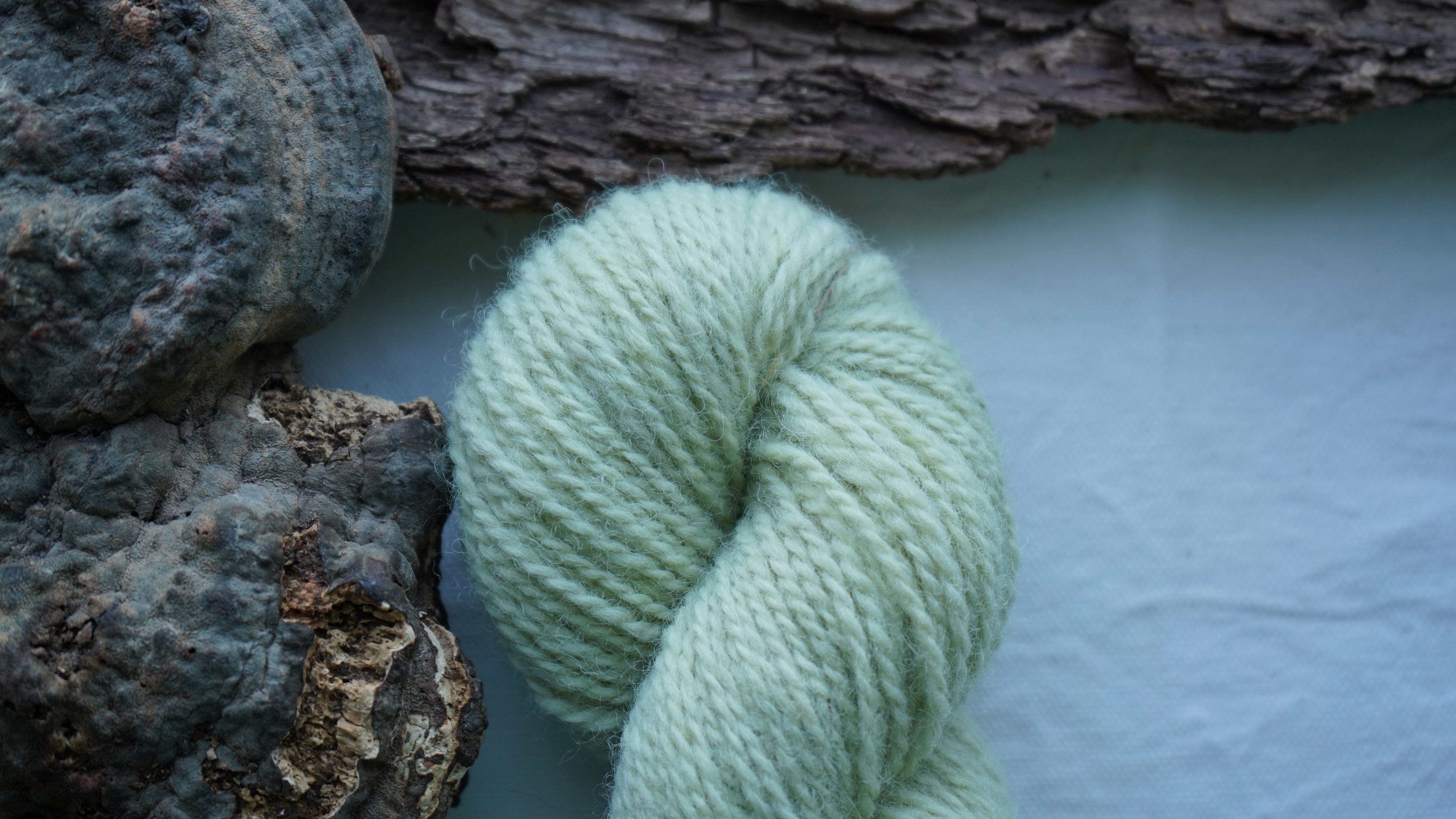 Plant dyed wool yarn "Green haze". Wortsted weight