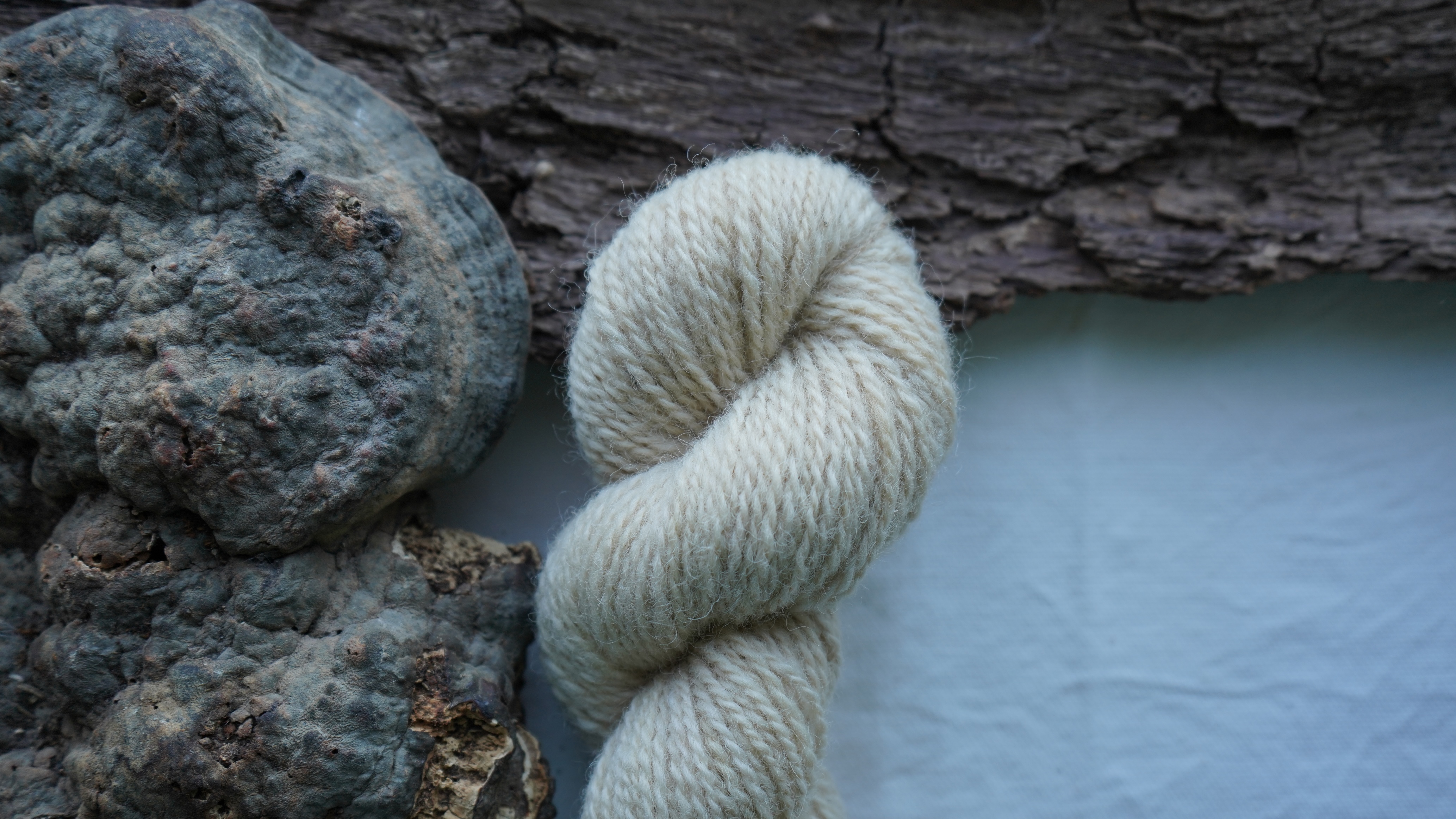 Botanically dyed wool yarn "Sand dollar". Wortsted weight