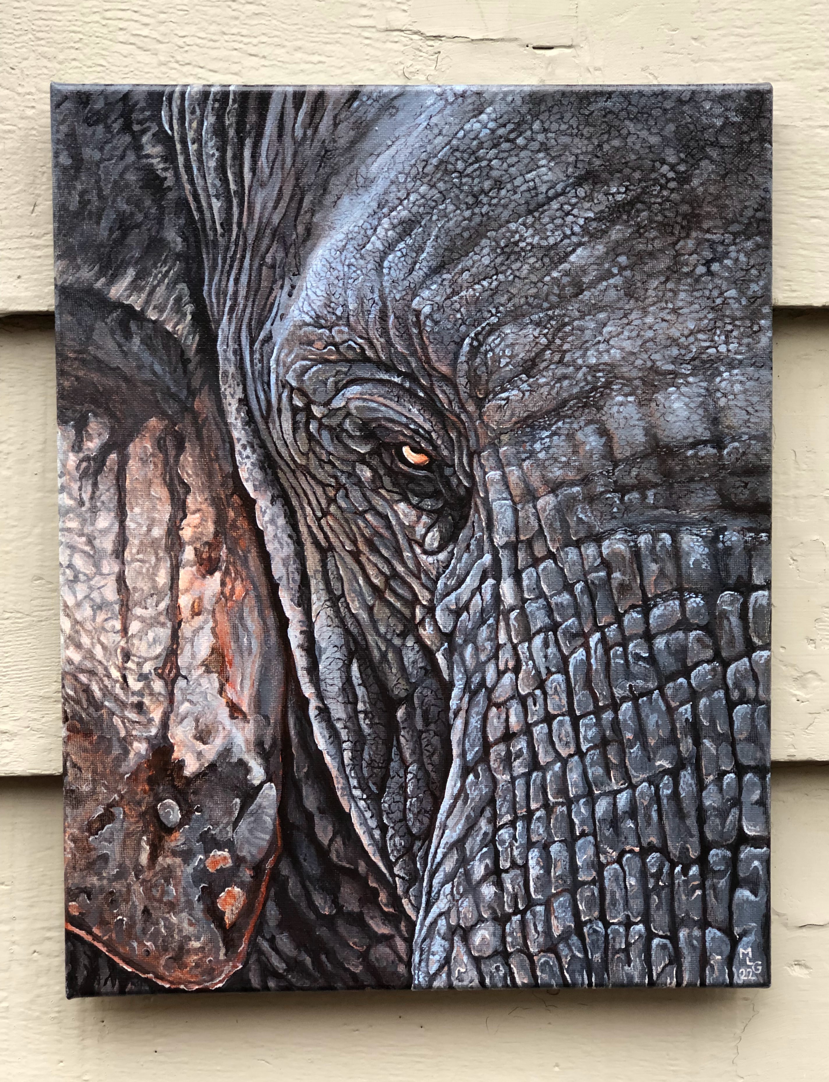 SOLDOUT -Approaching Fire - Elephant by firelight