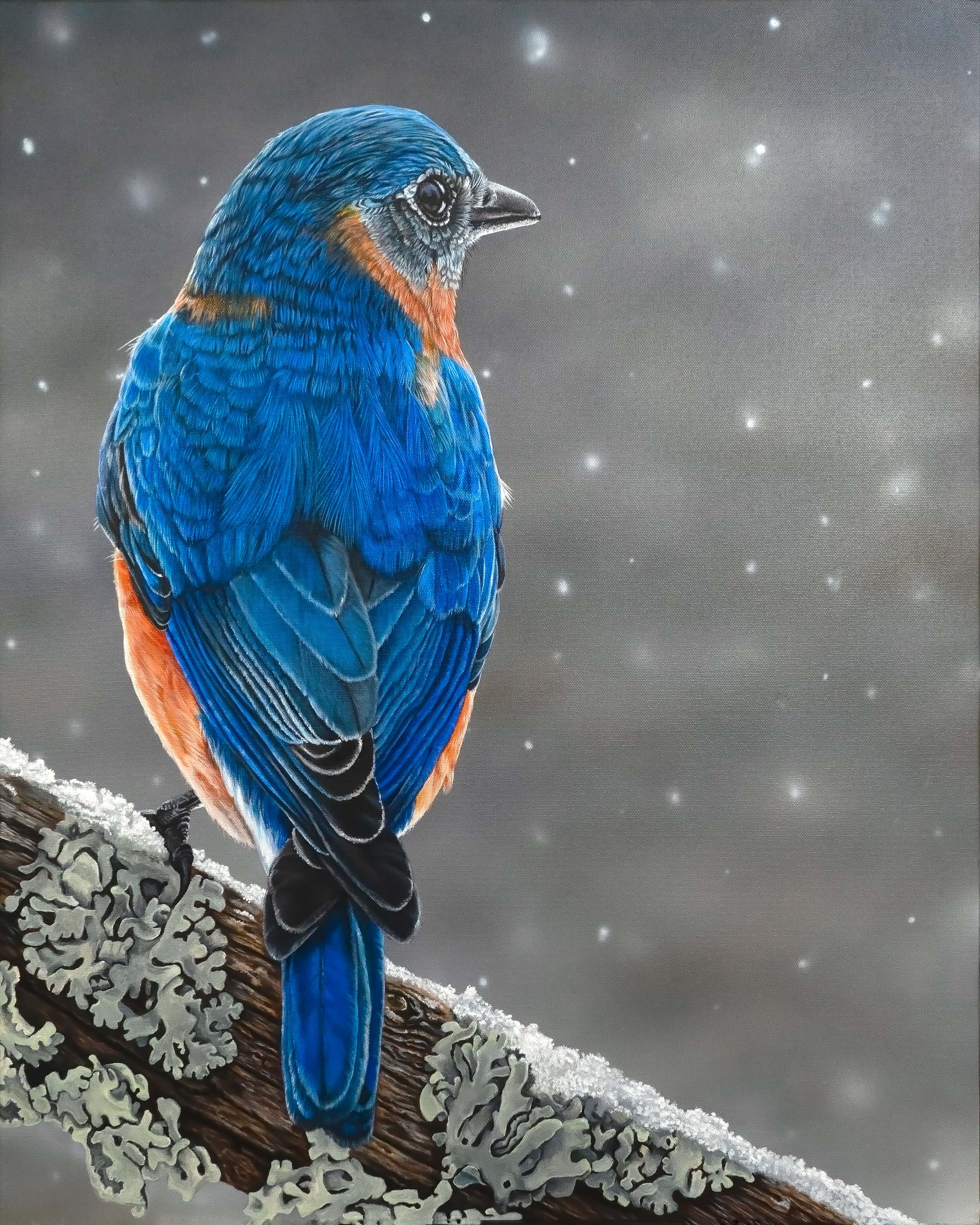 Blue Bird in snow - HOLD FOR EXHIBITION