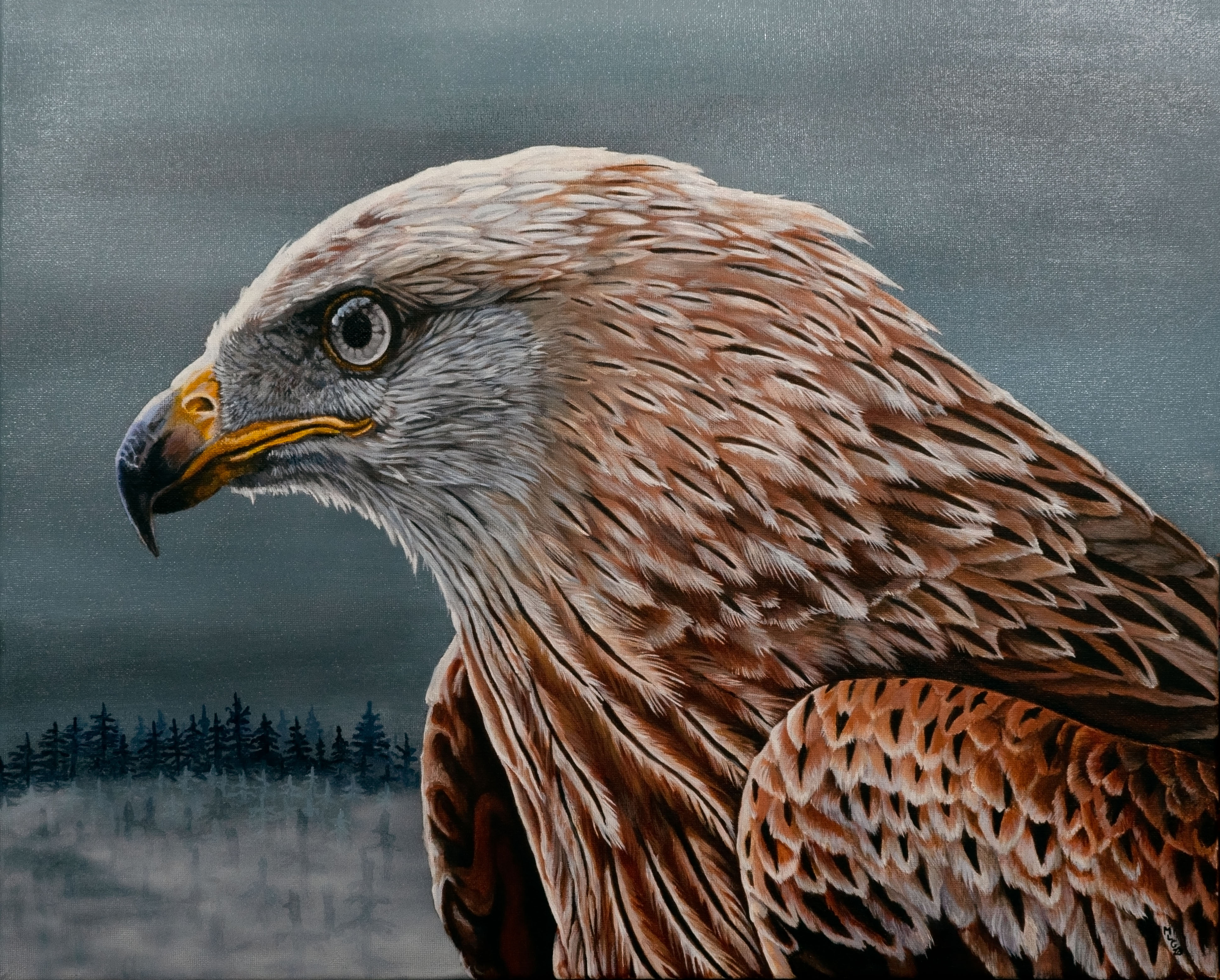 Eagle - Adolescent bald Eagle - Watching From Above - HOLD FOR EXHIBITION