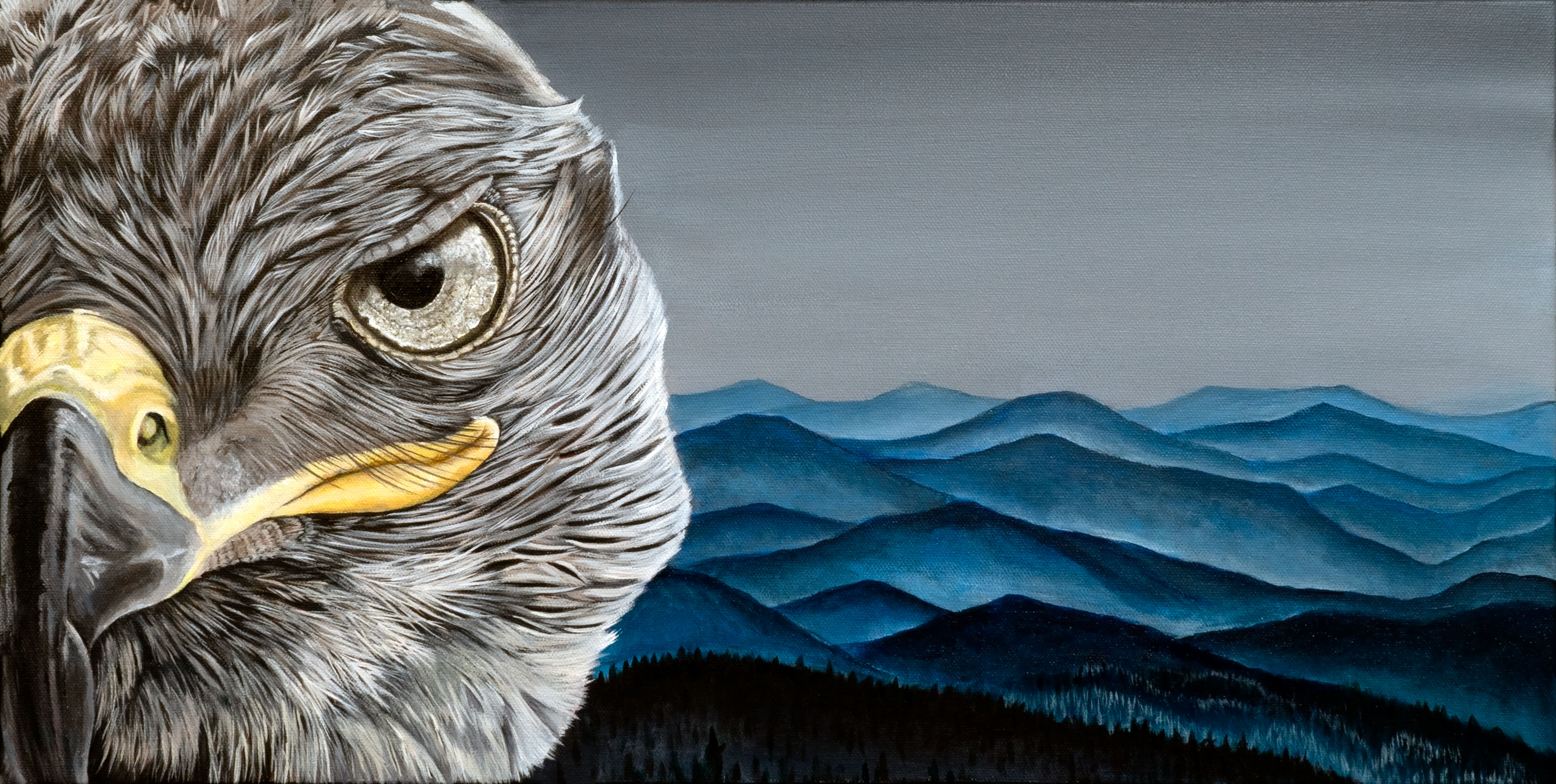 Eagle - In Blue Mountains - Original Painting Framed