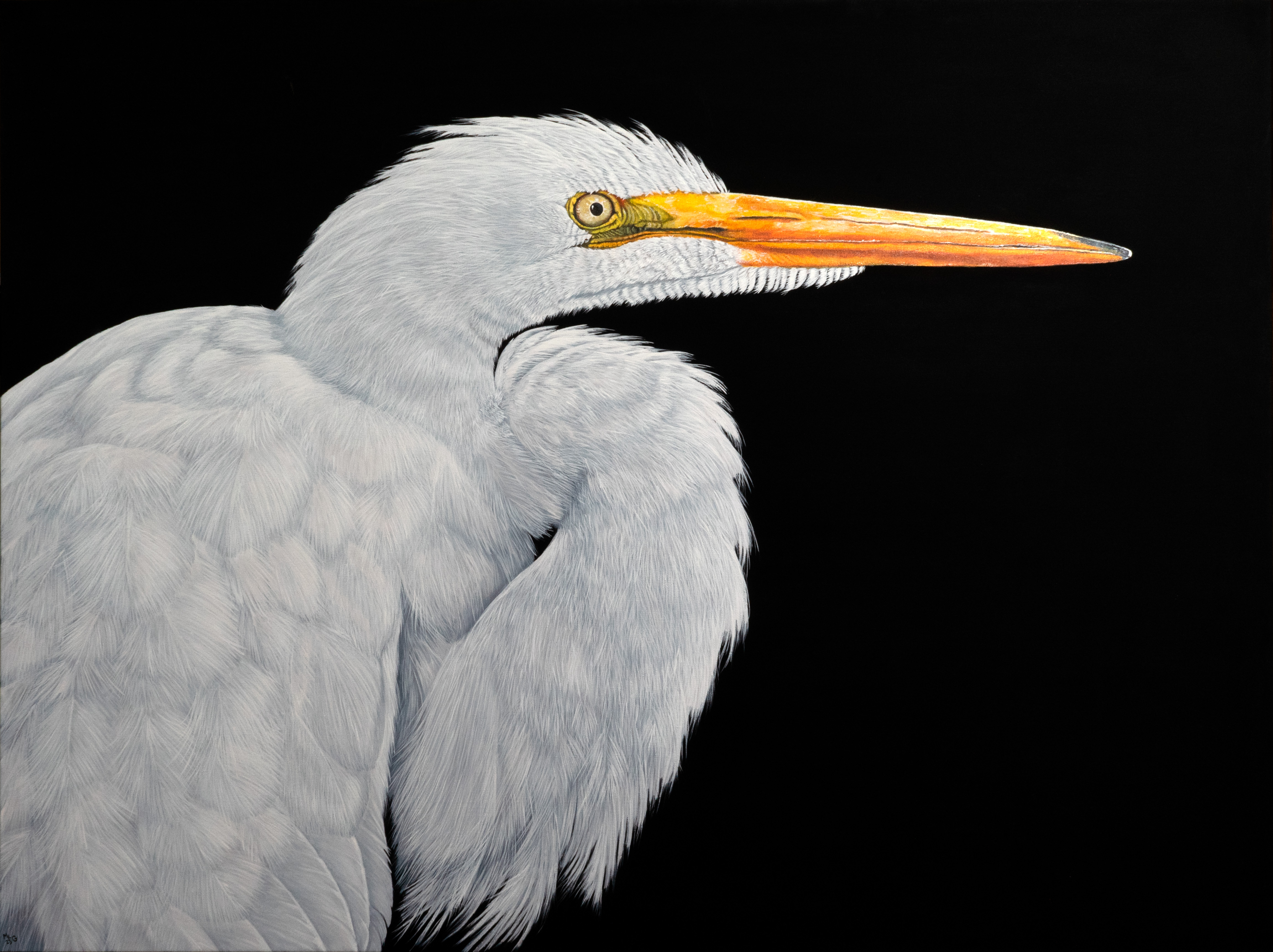 Egret - Study 2 – Crazy