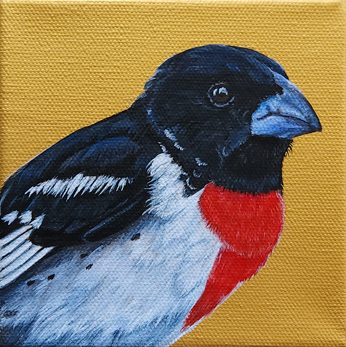 Grosbeak - Sold