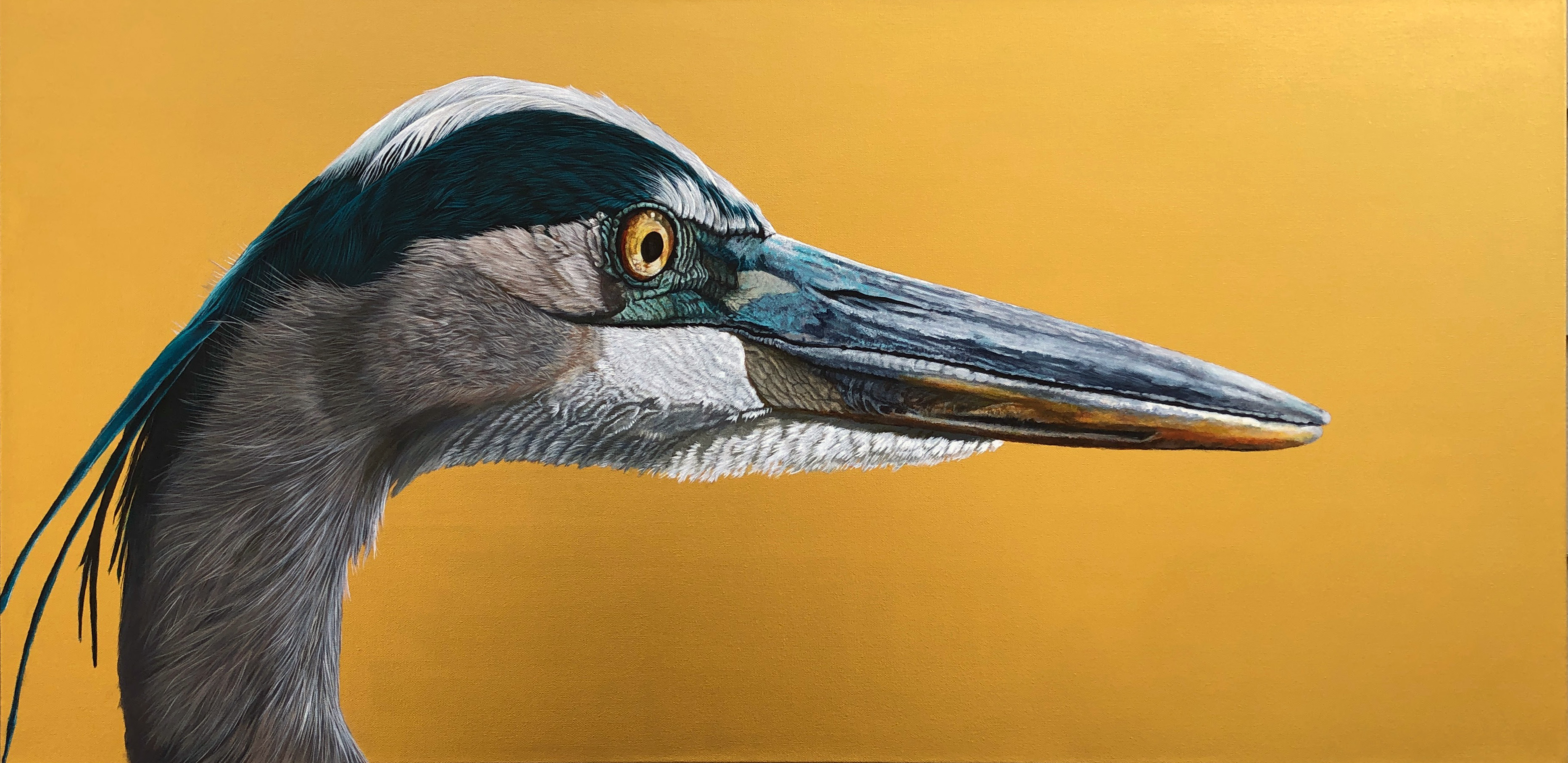 Great Blue Heron - Great Blue On Gold - Original Painting held for Columbus Arts Festival