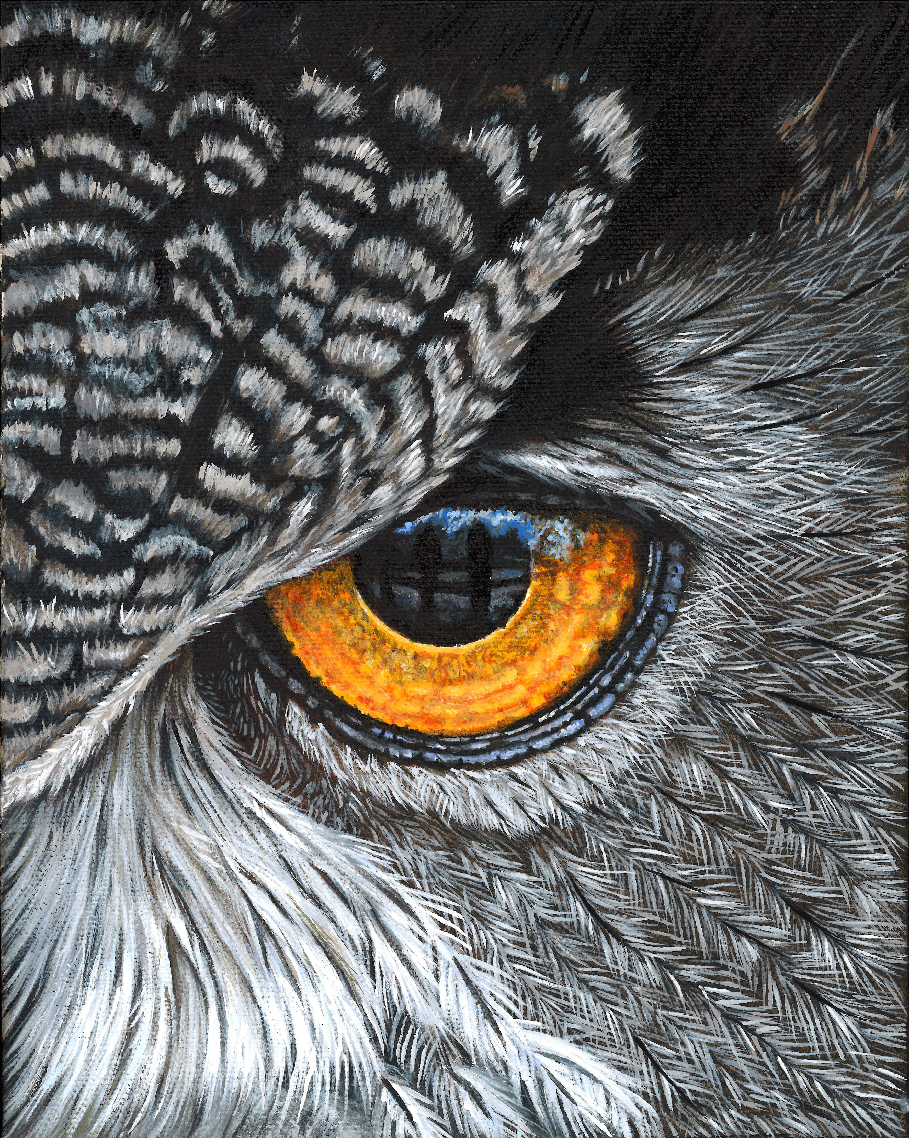 Great Horned Owl - Searching Fences - Print Available