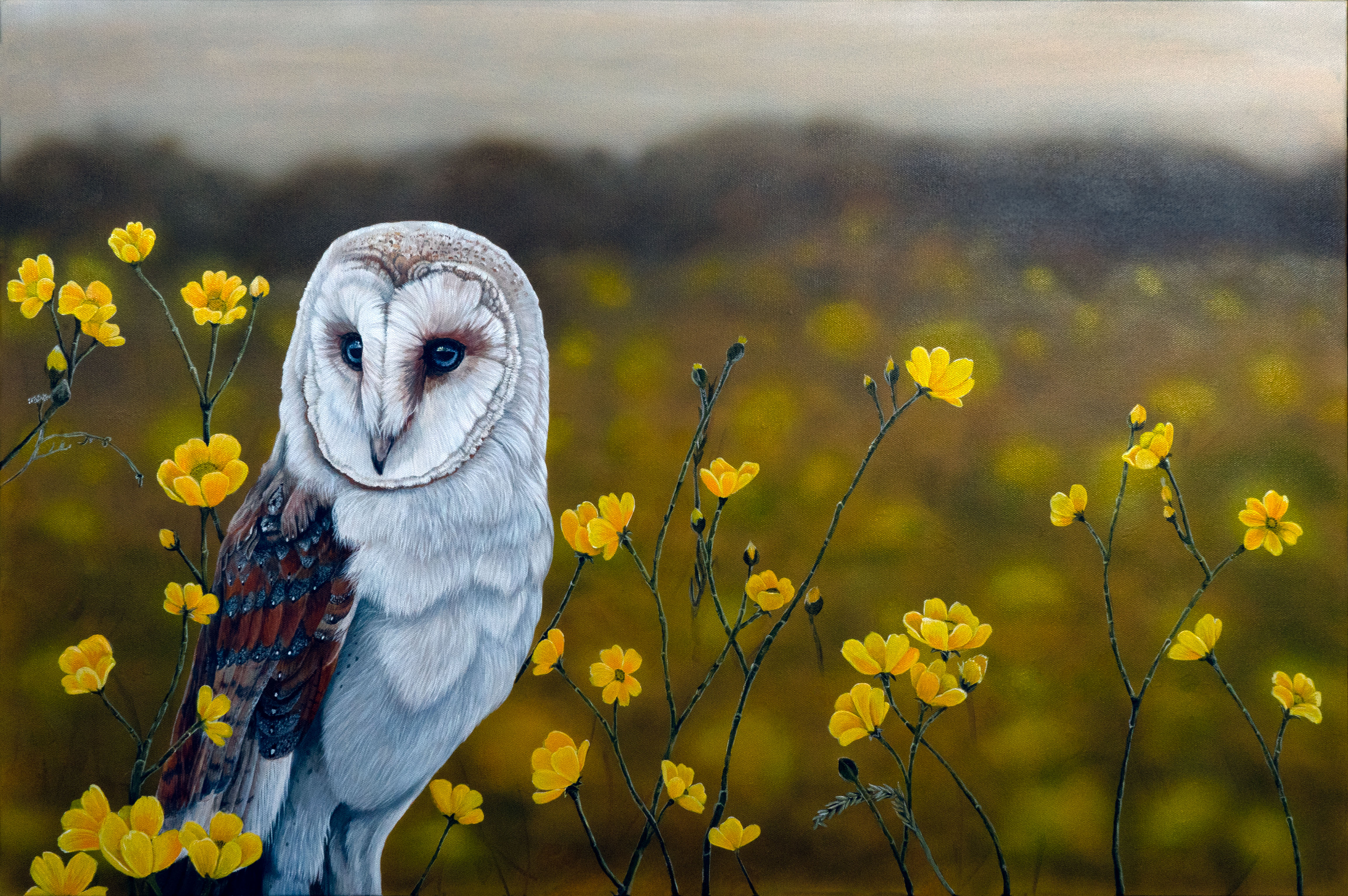 Barn Owl - Wild Yellow Fl(Owl)ers - Cedar Framed - Original Painting held for Columbus Arts Festival
