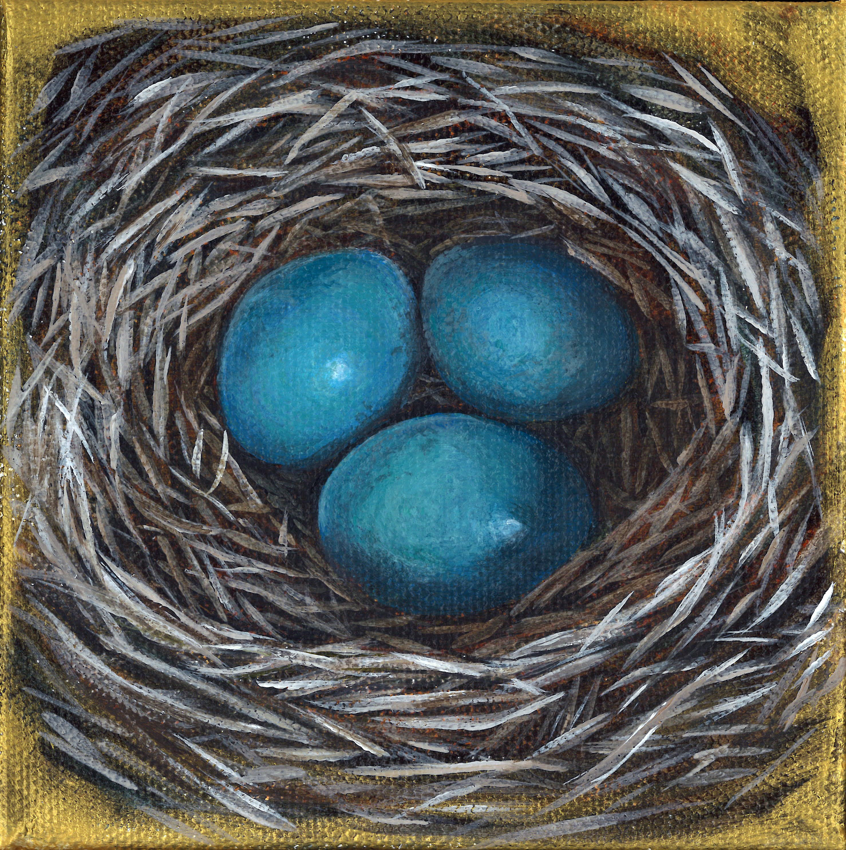 Robins Nest - 5x5 Prints Available