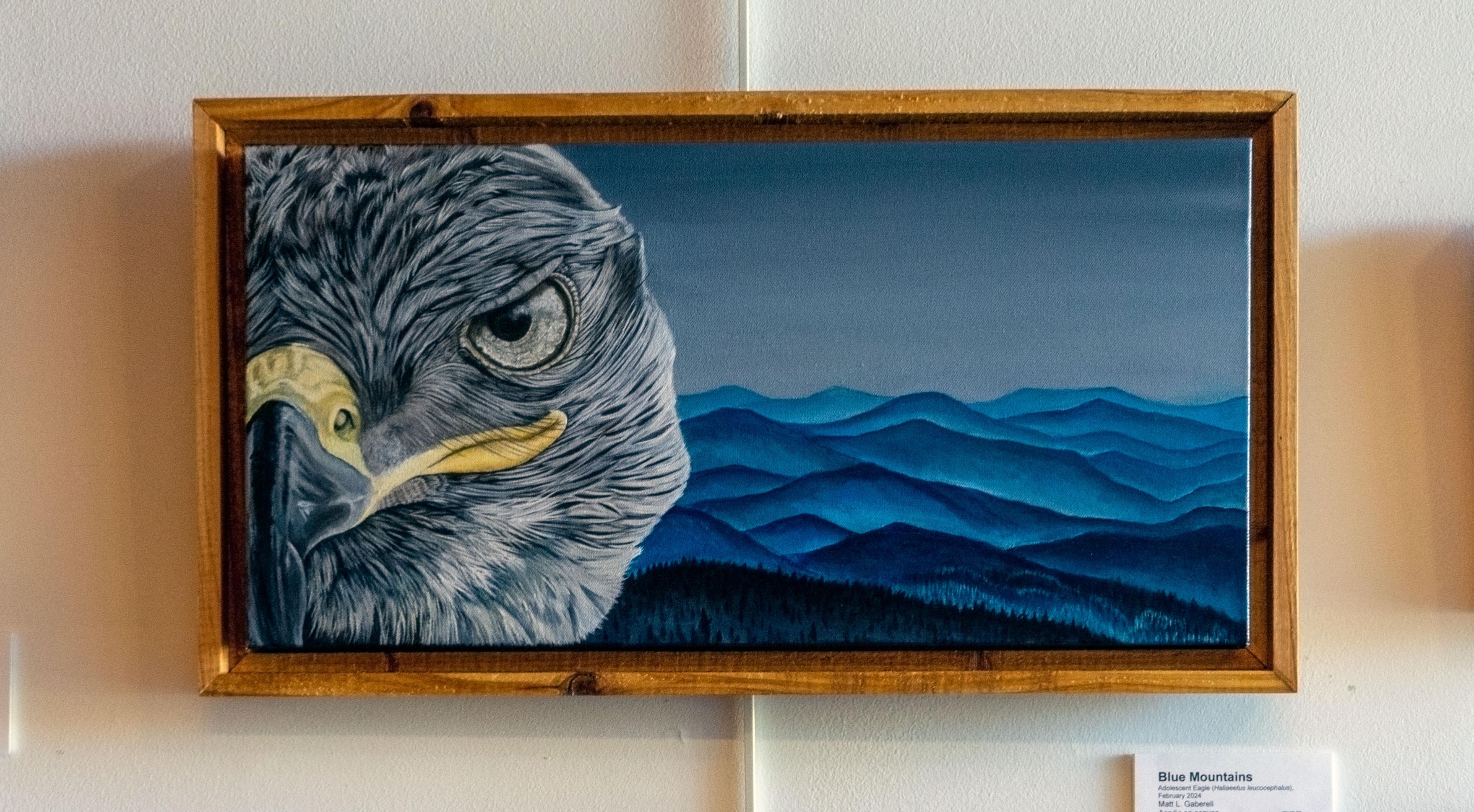 Eagle - In Blue Mountains - Original Painting Framed