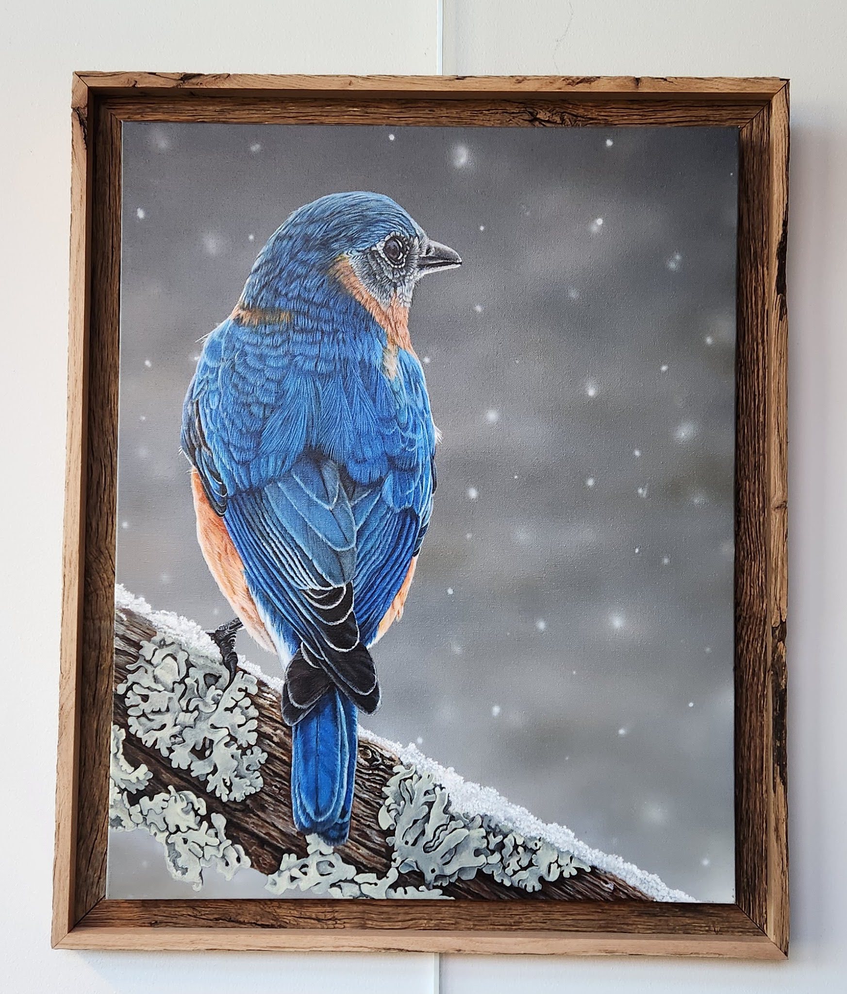 Blue Bird in snow - Original Painting held for Columbus Arts Festival