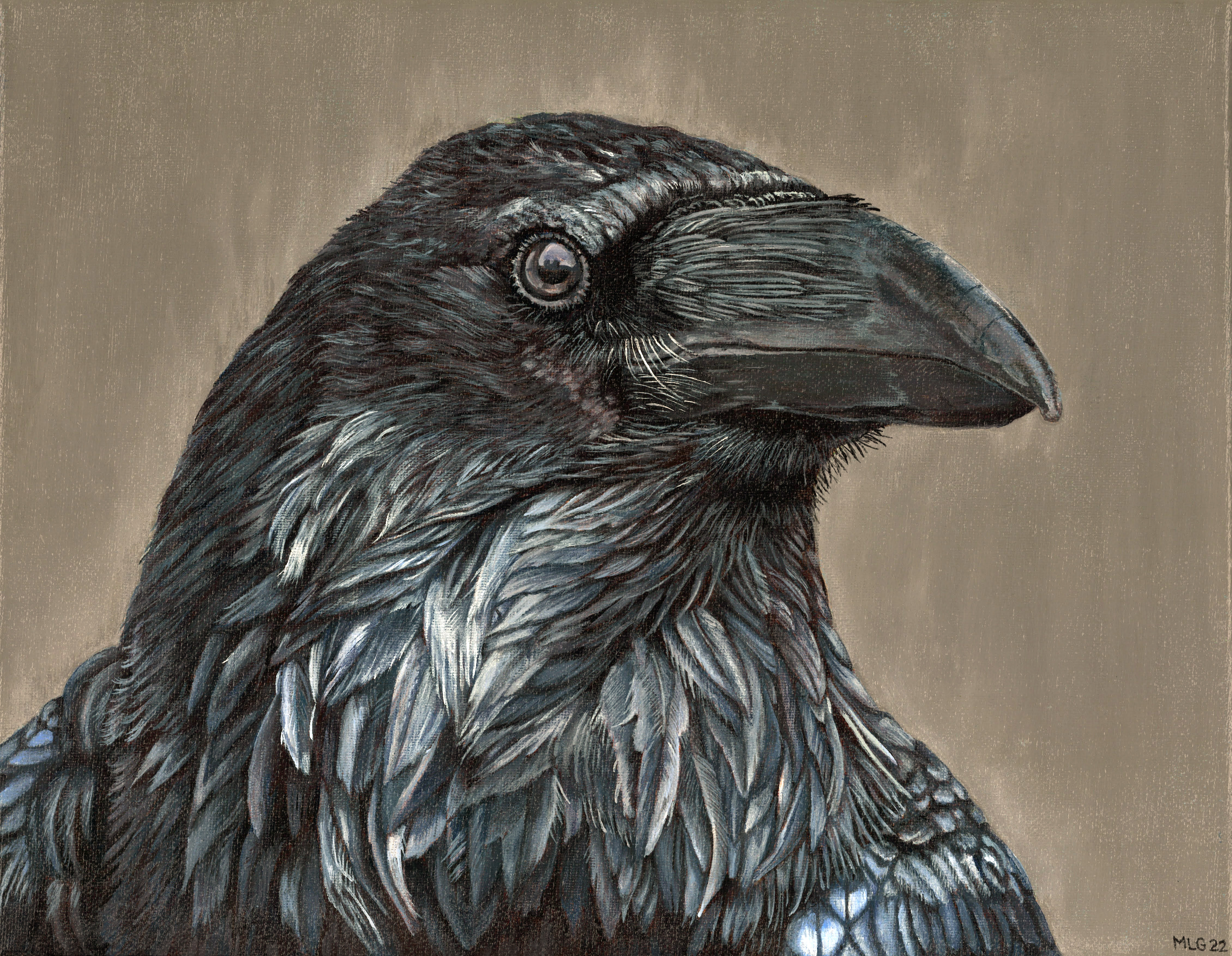 Raven - Protector of the Crown - Original and Prints available