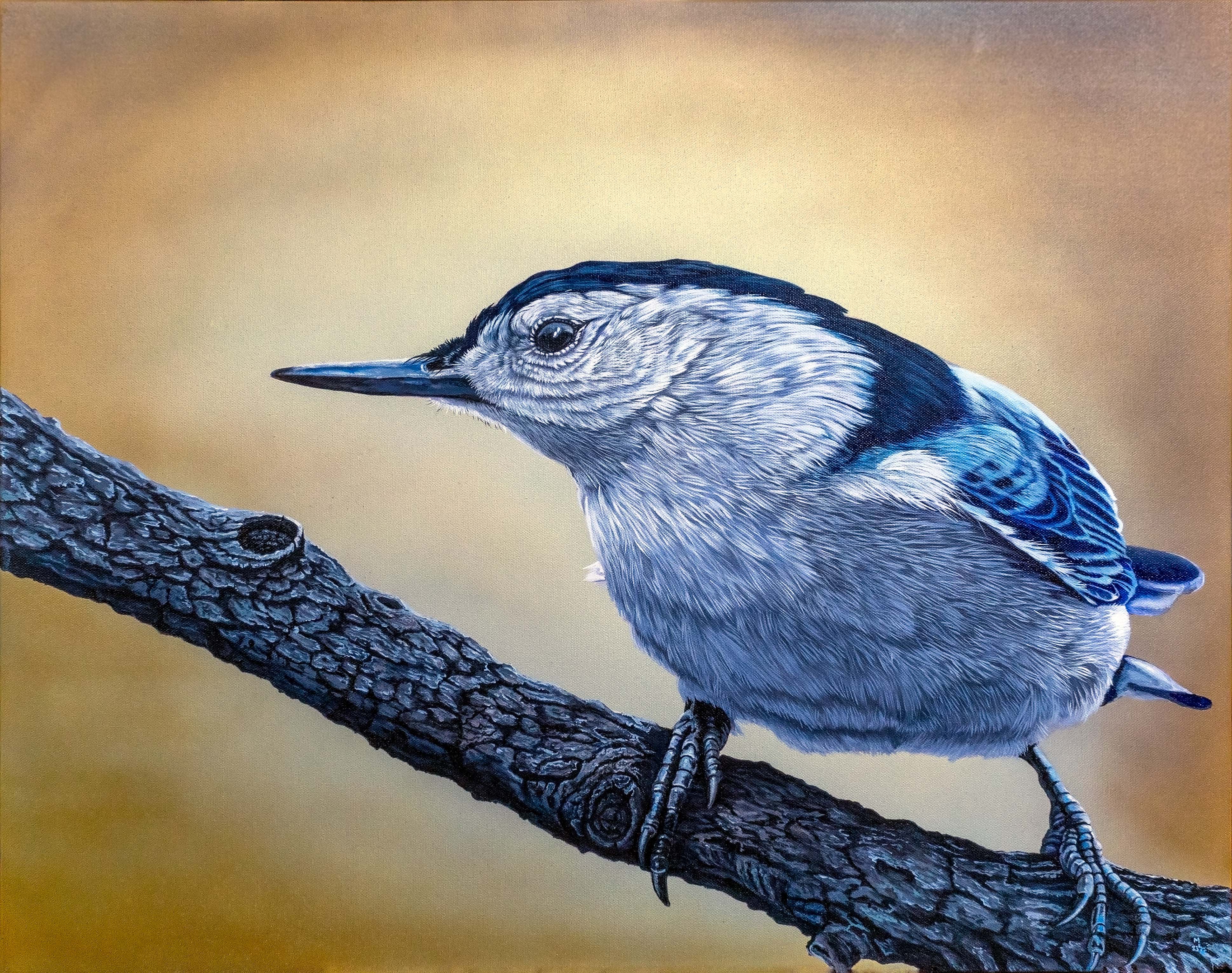 Nuthatch - Indian Summer Paused - Barnwood frame - Original Painting held for Columbus Arts Festival