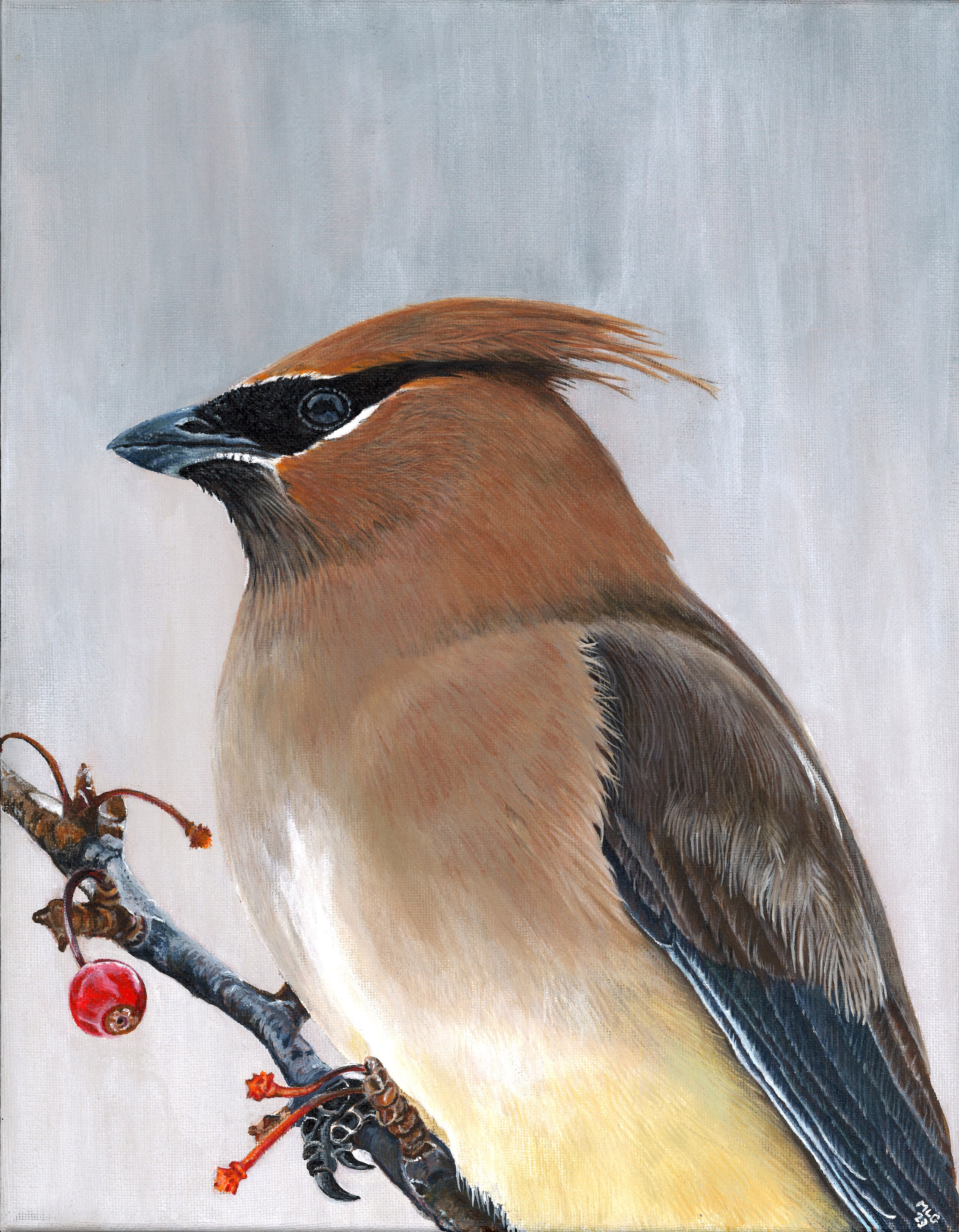 Cedar Waxwing - Original Painting in Cedar Frame and Prints Available