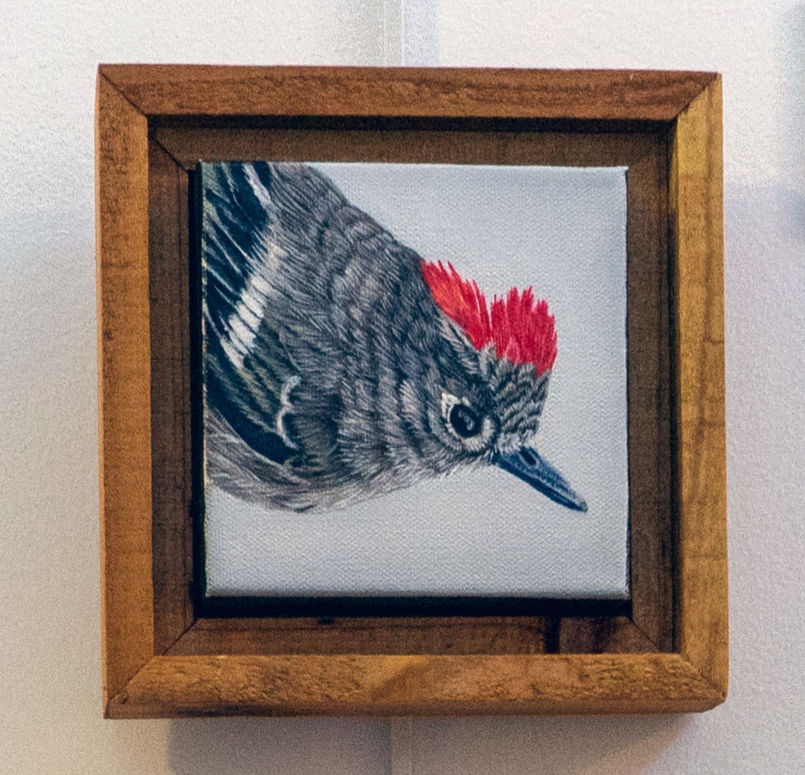 Ruby Crowned Kinglet - Original Painting - Cedar Framed