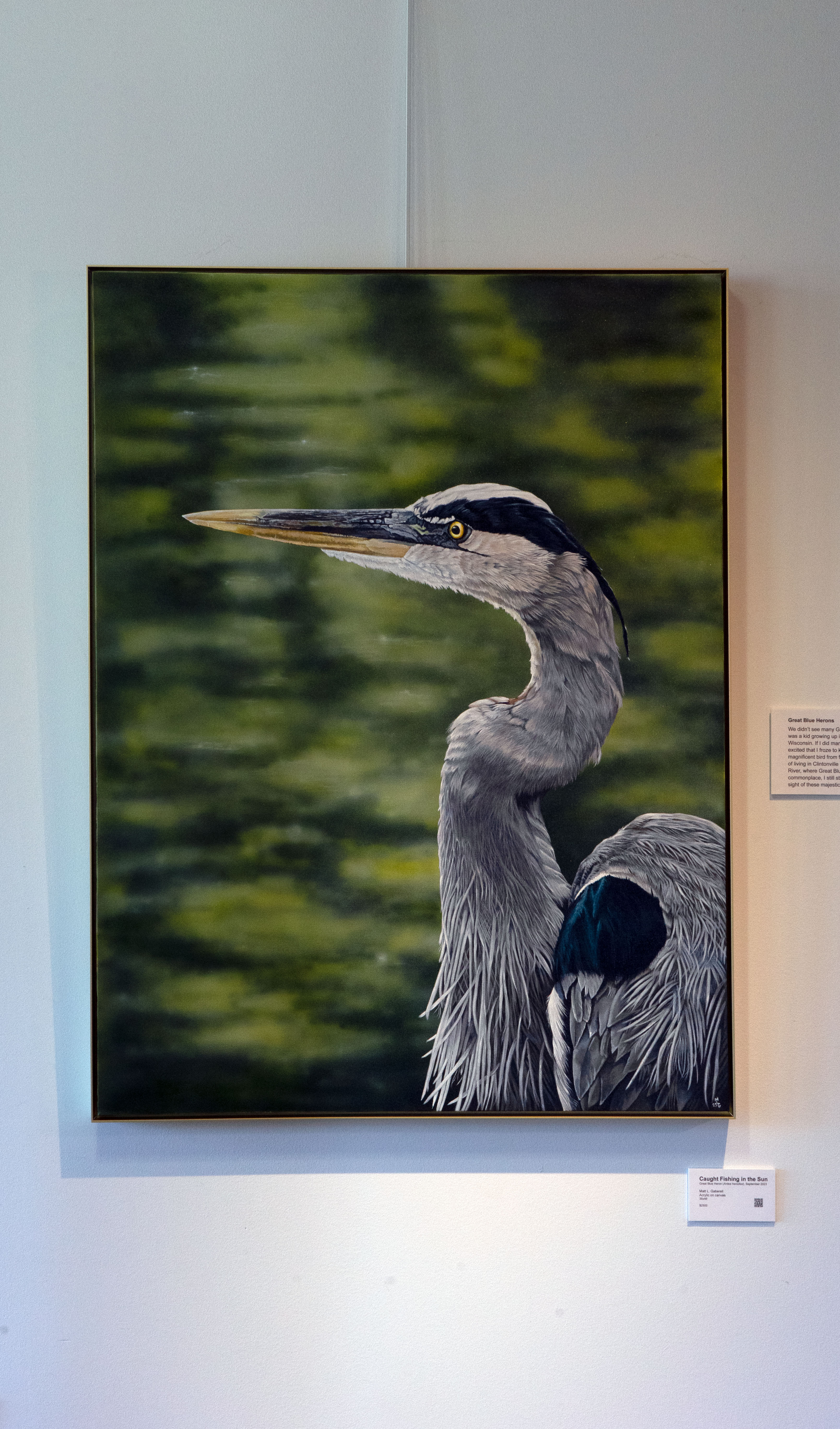 Great Blue Heron - Caught Fishing in the Sun - Original and Prints Available