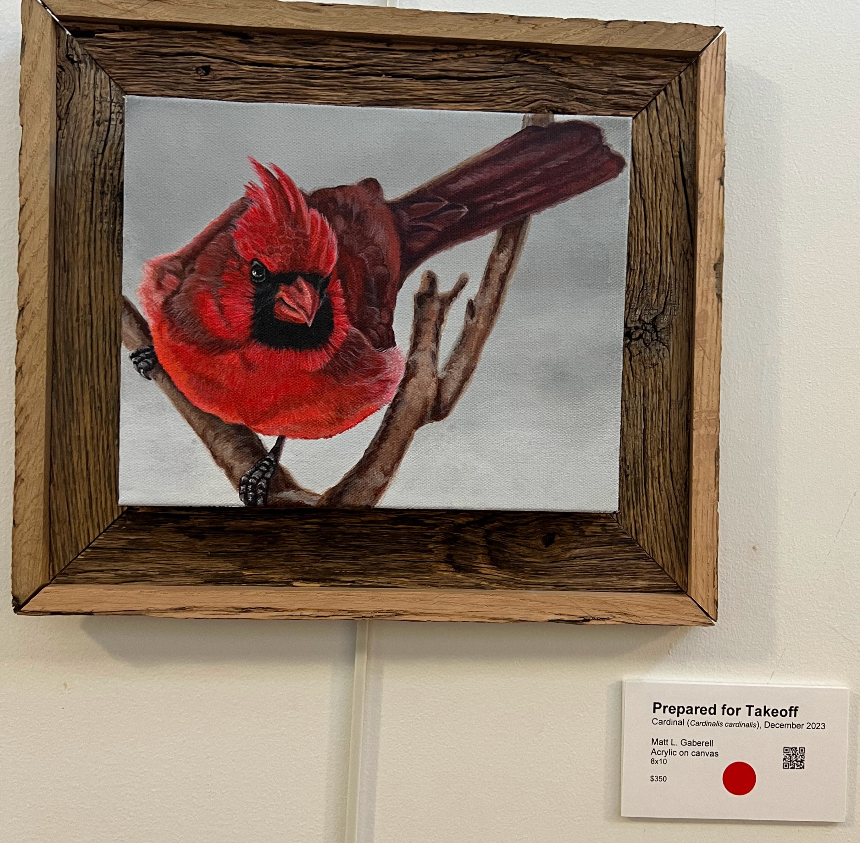 Prepared for Takeoff - Cardinal  - Prints Available