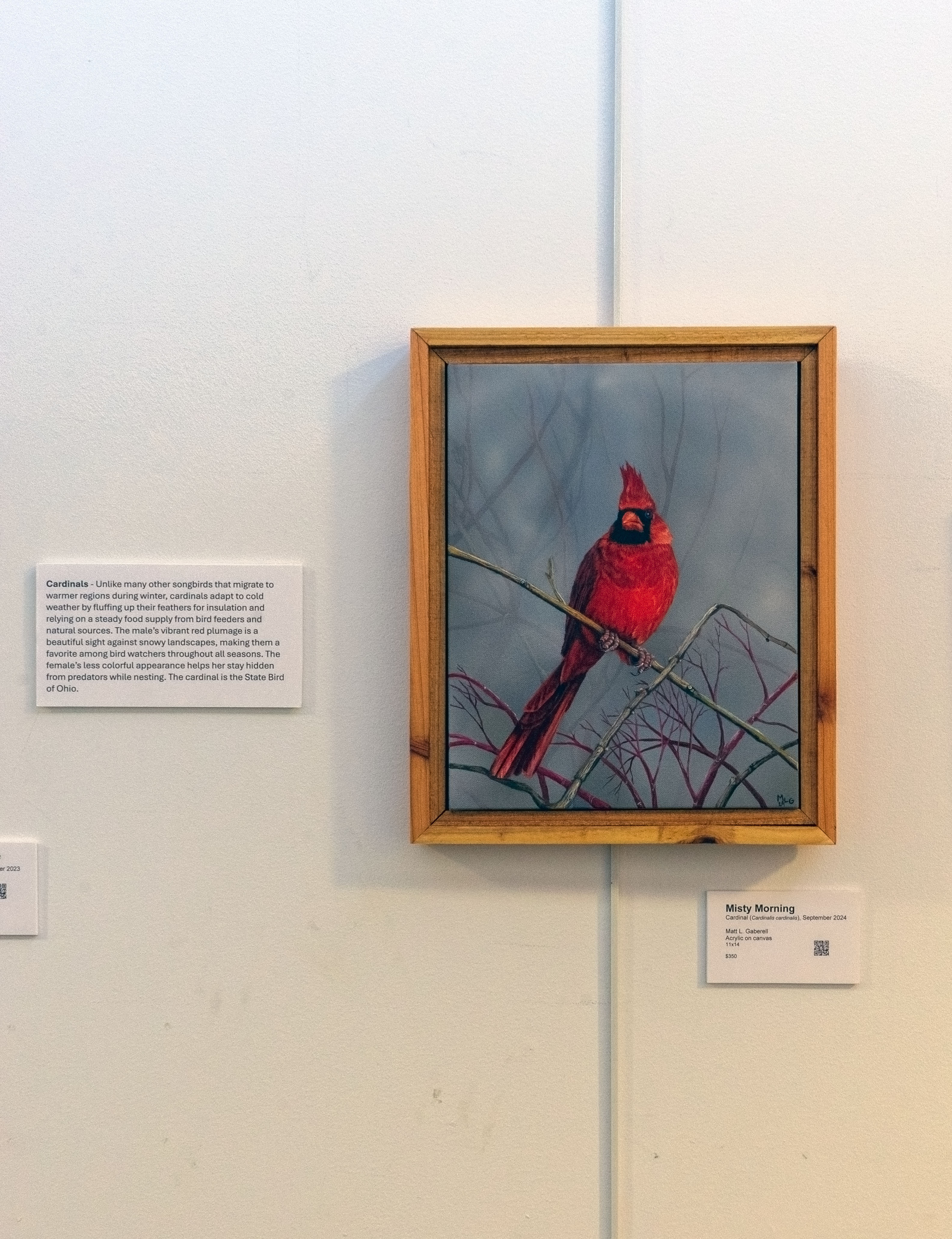Cardinal - Misty Morning - Sold