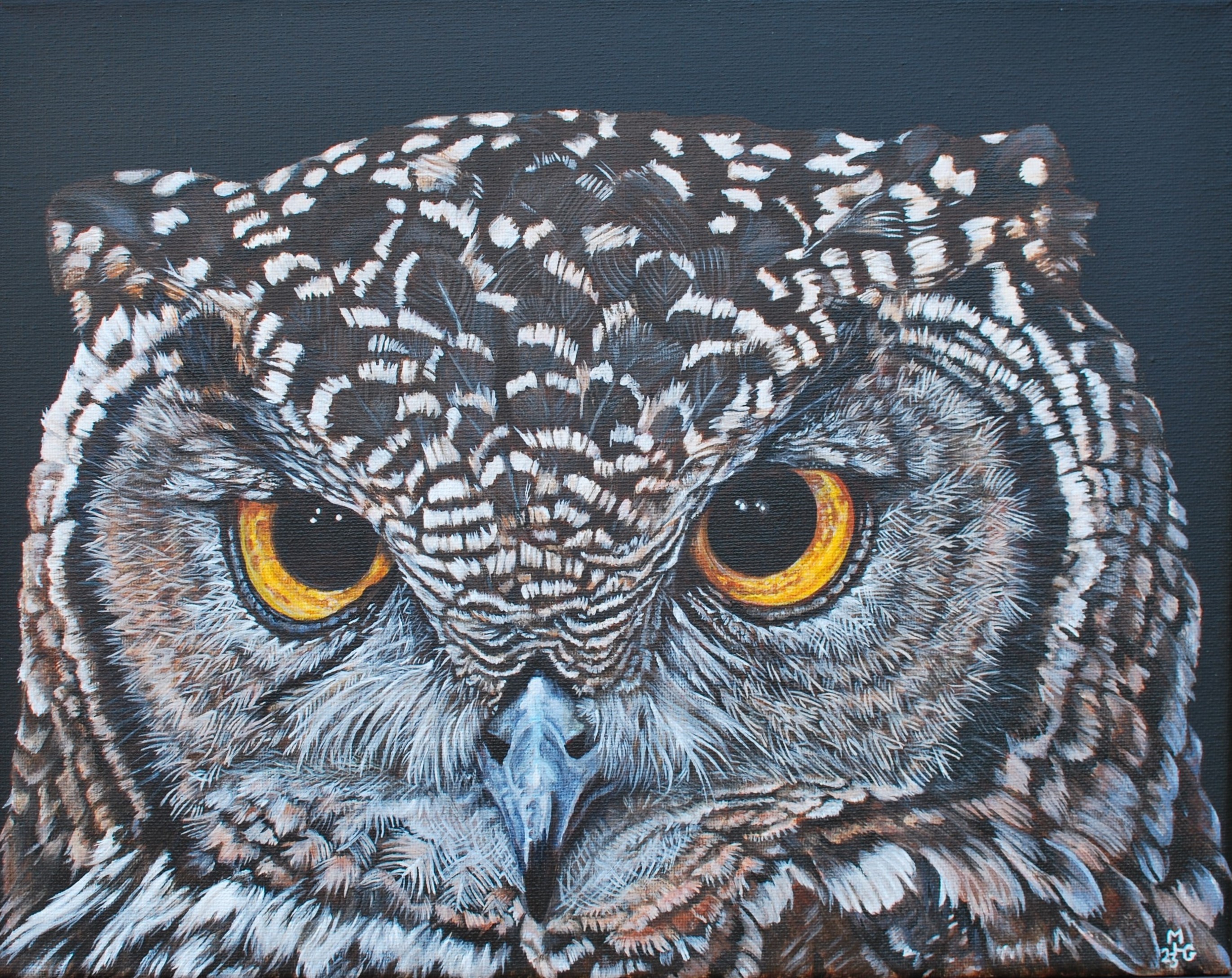 Great Horned Owl - Soul Searcher - Giclee Prints Available