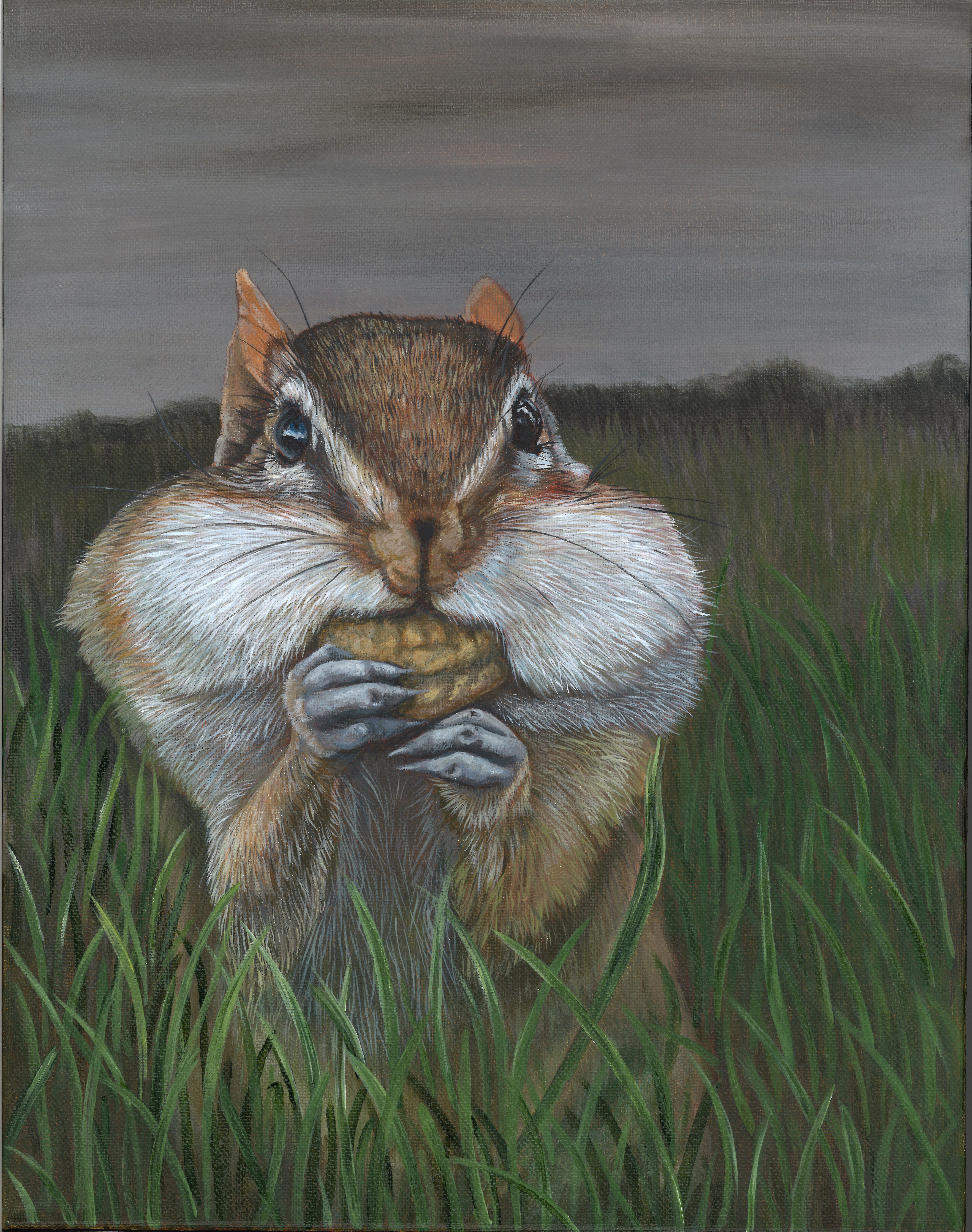 Gathering Storm - Chipmunk - Original Painting and Giclee Prints Available
