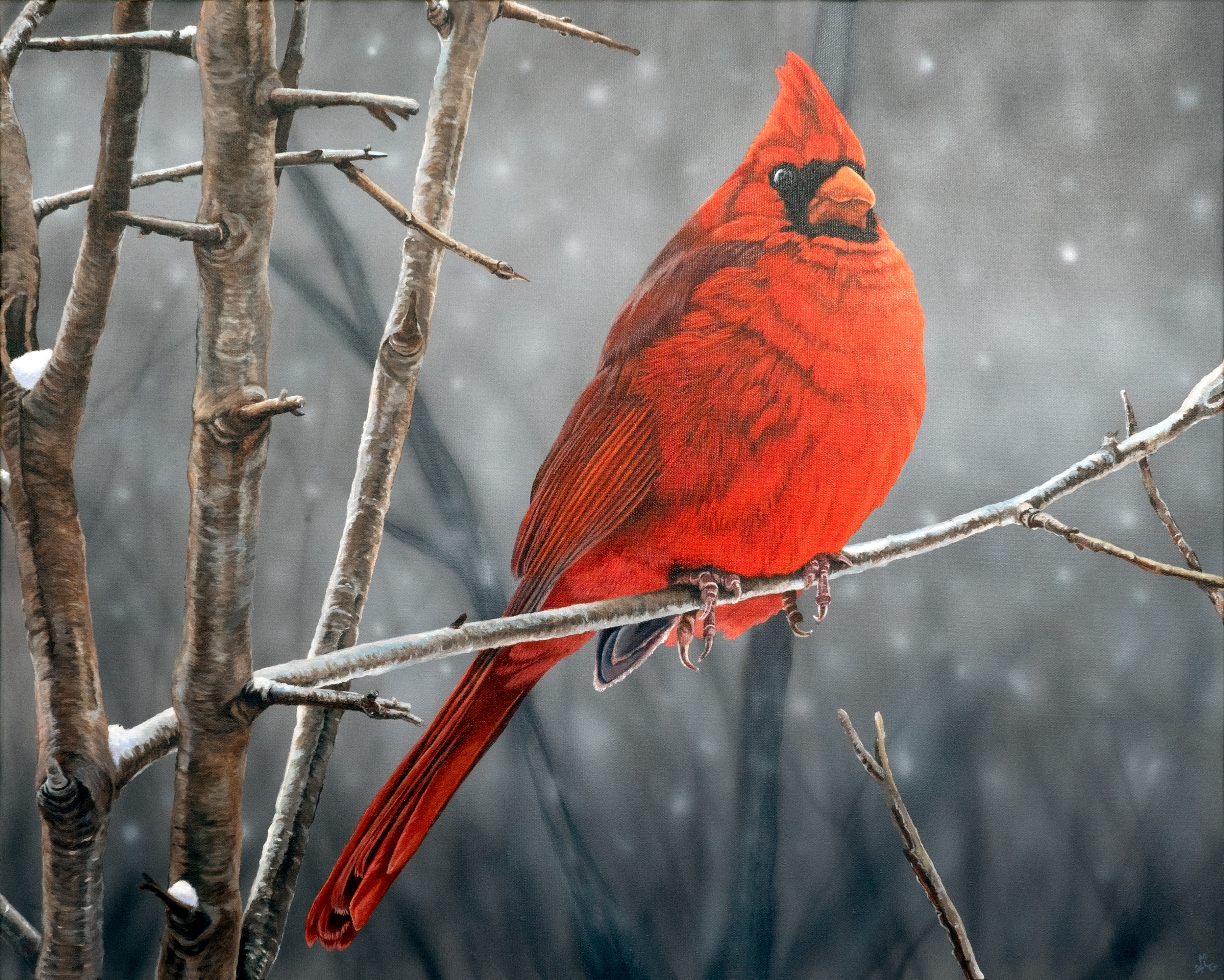 A Winter Solace - Giclee Prints Available