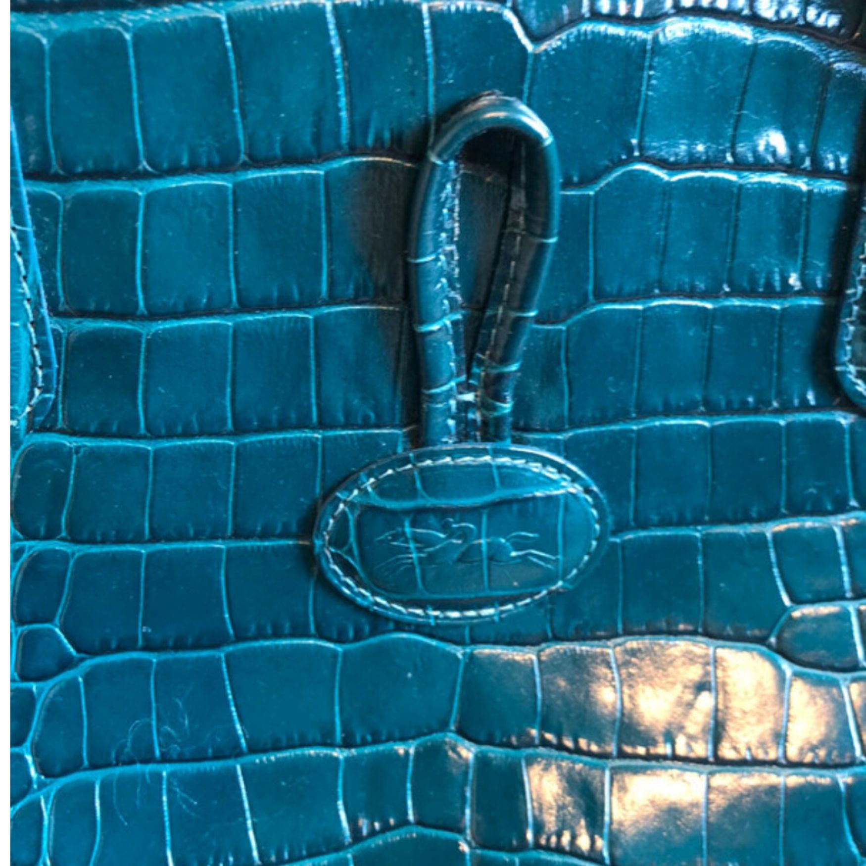 Sac Lonchamps vert canard 