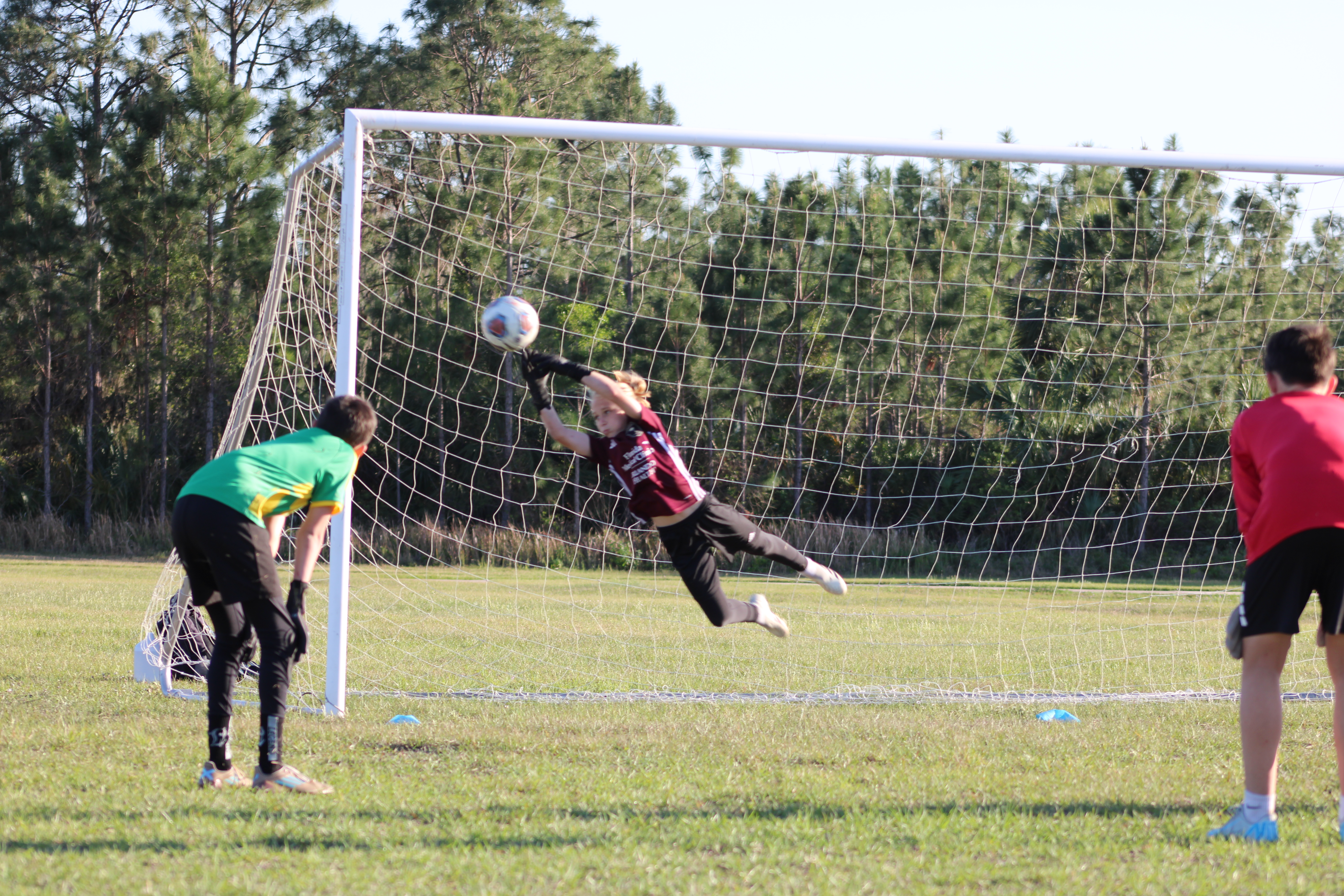 TAMPA Goalkeeper Academy