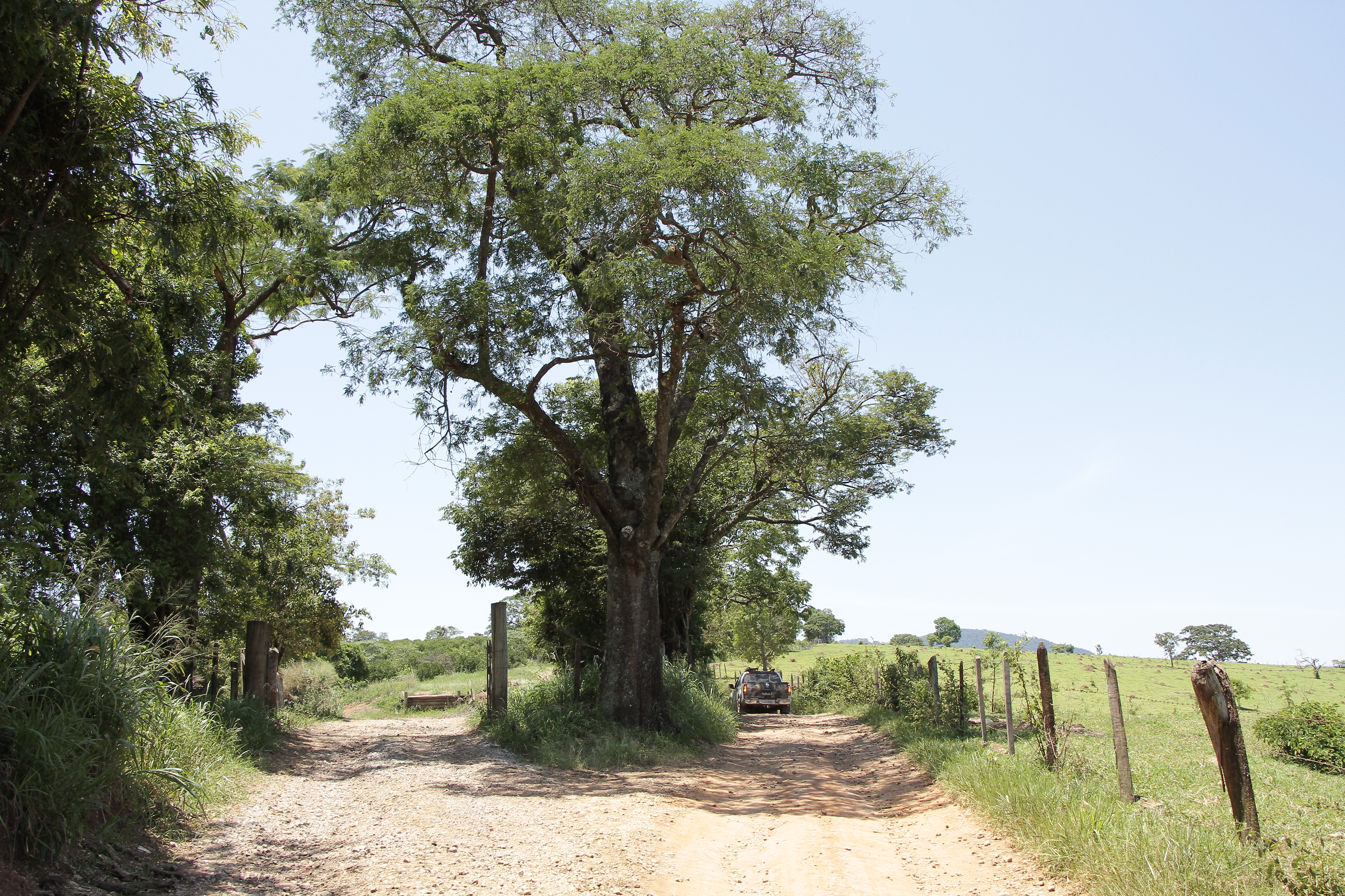 Passeios OFF ROAD